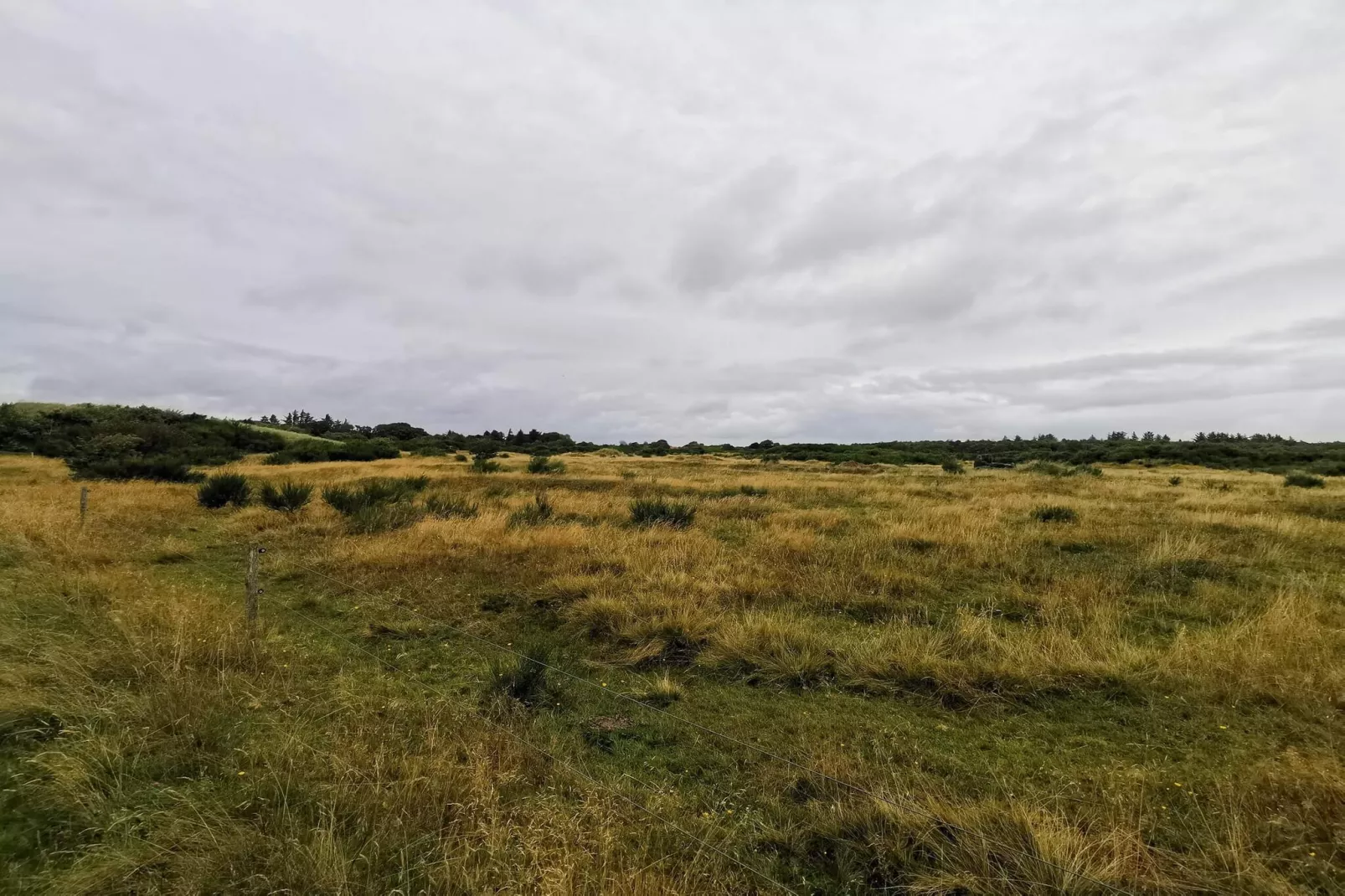 6 Personen Ferienhaus in Skjern-By Traum-Nicht zugeordnet