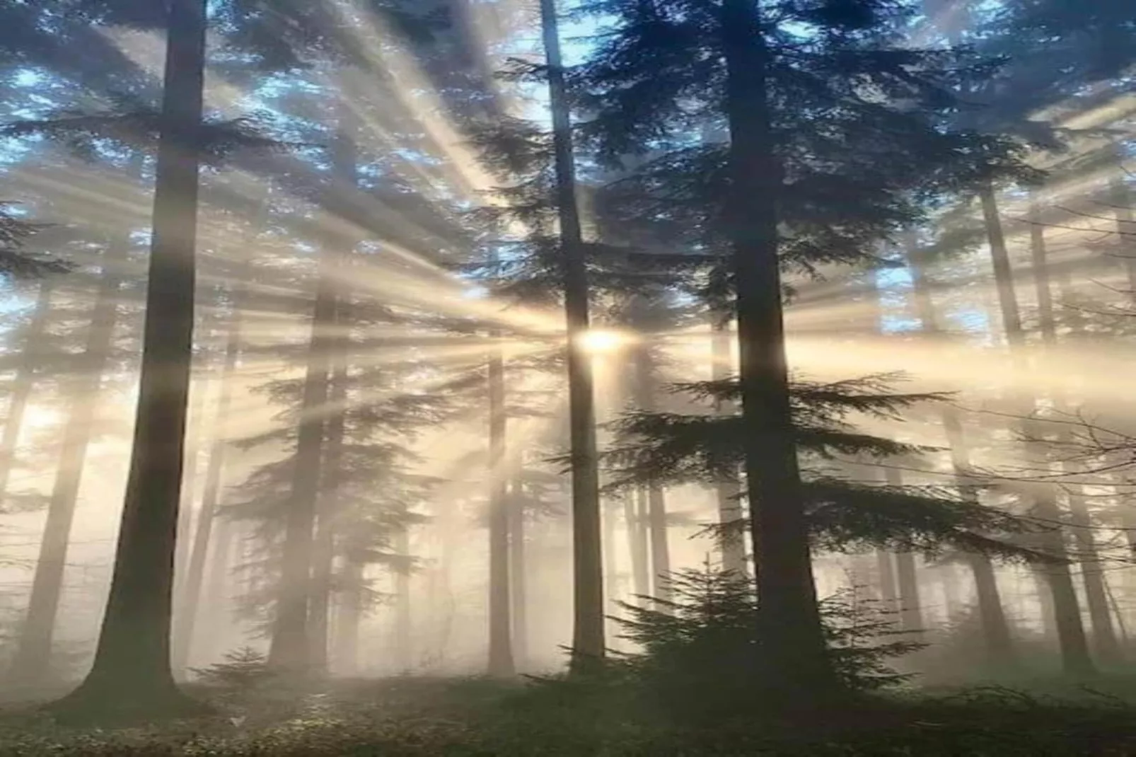 Appartement Eifelsteig-Zones été à 20 km