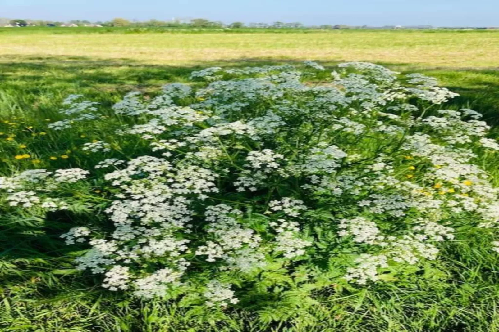 Huisje 'In de Tuin' A-Gebiete Sommer 20 km