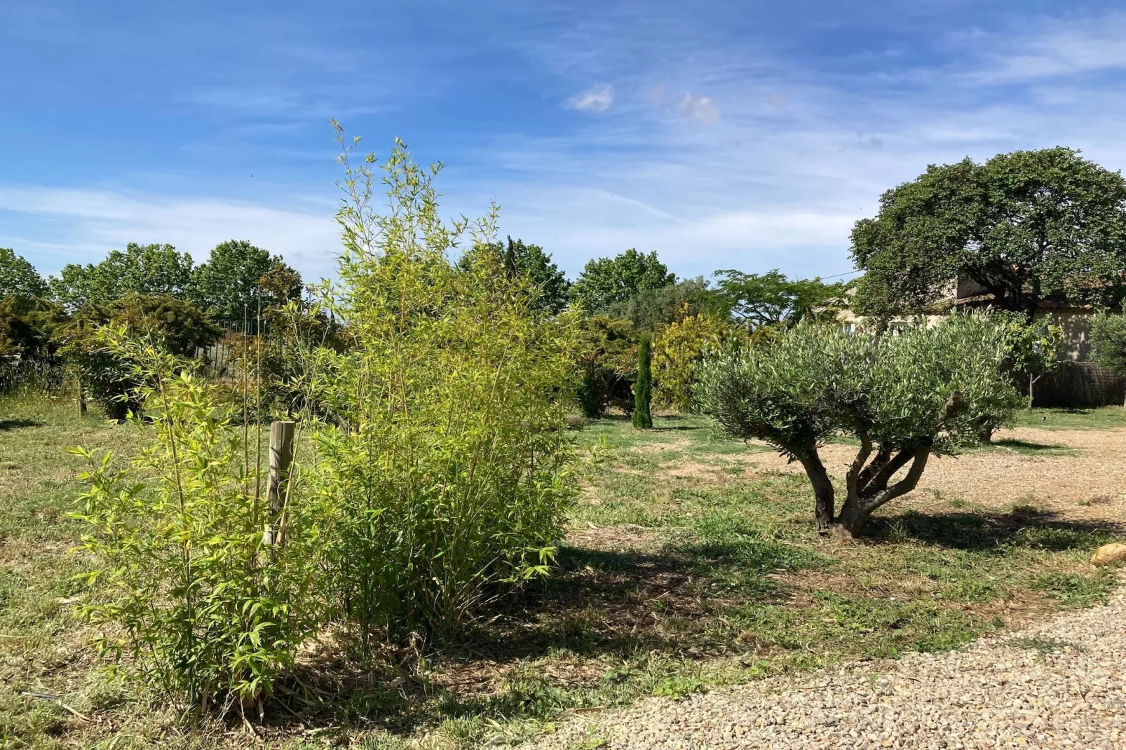 Le Hangar de Jean-Gardens in summer