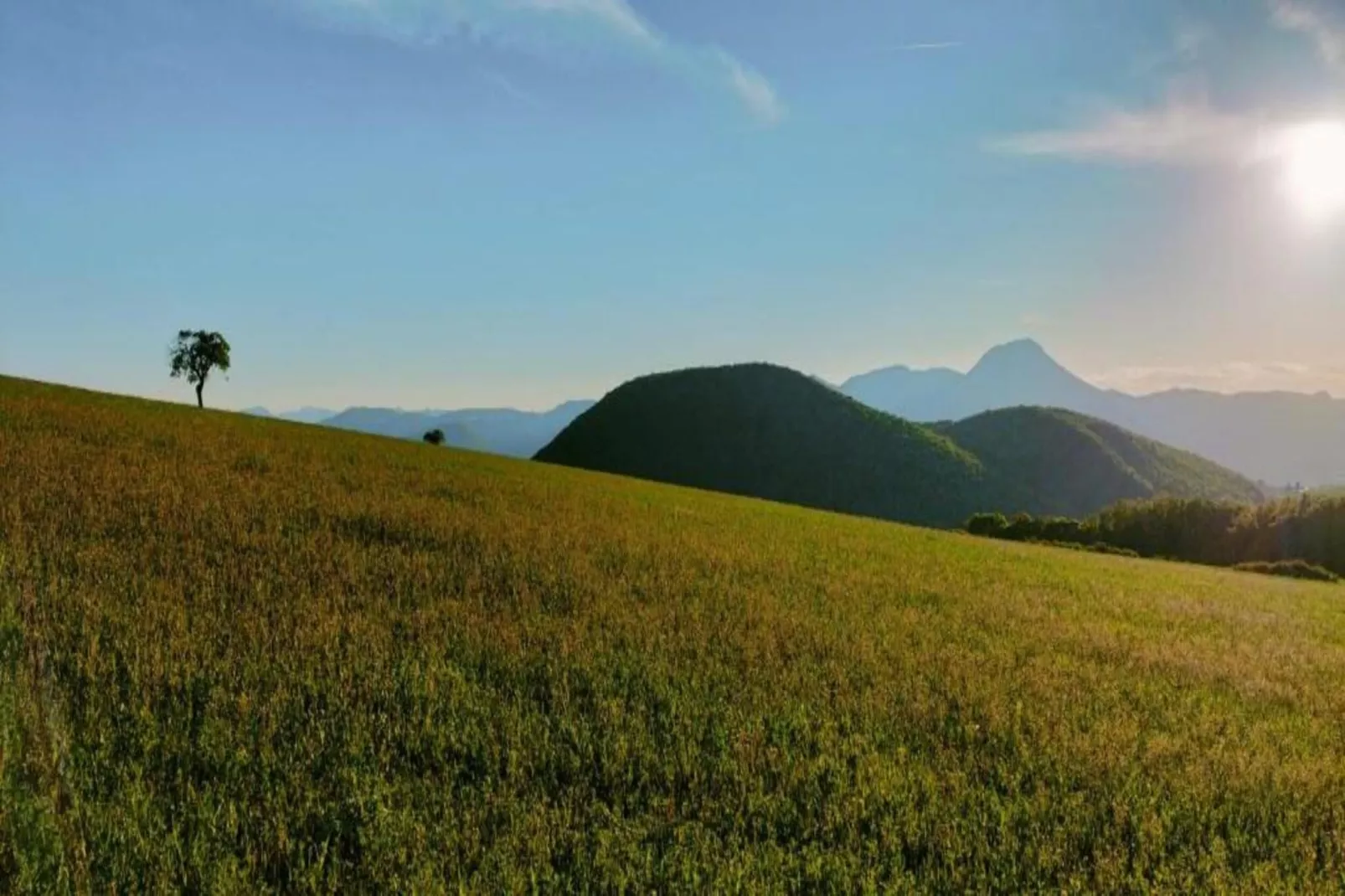 Binnella 10-Areas within 20km in summer