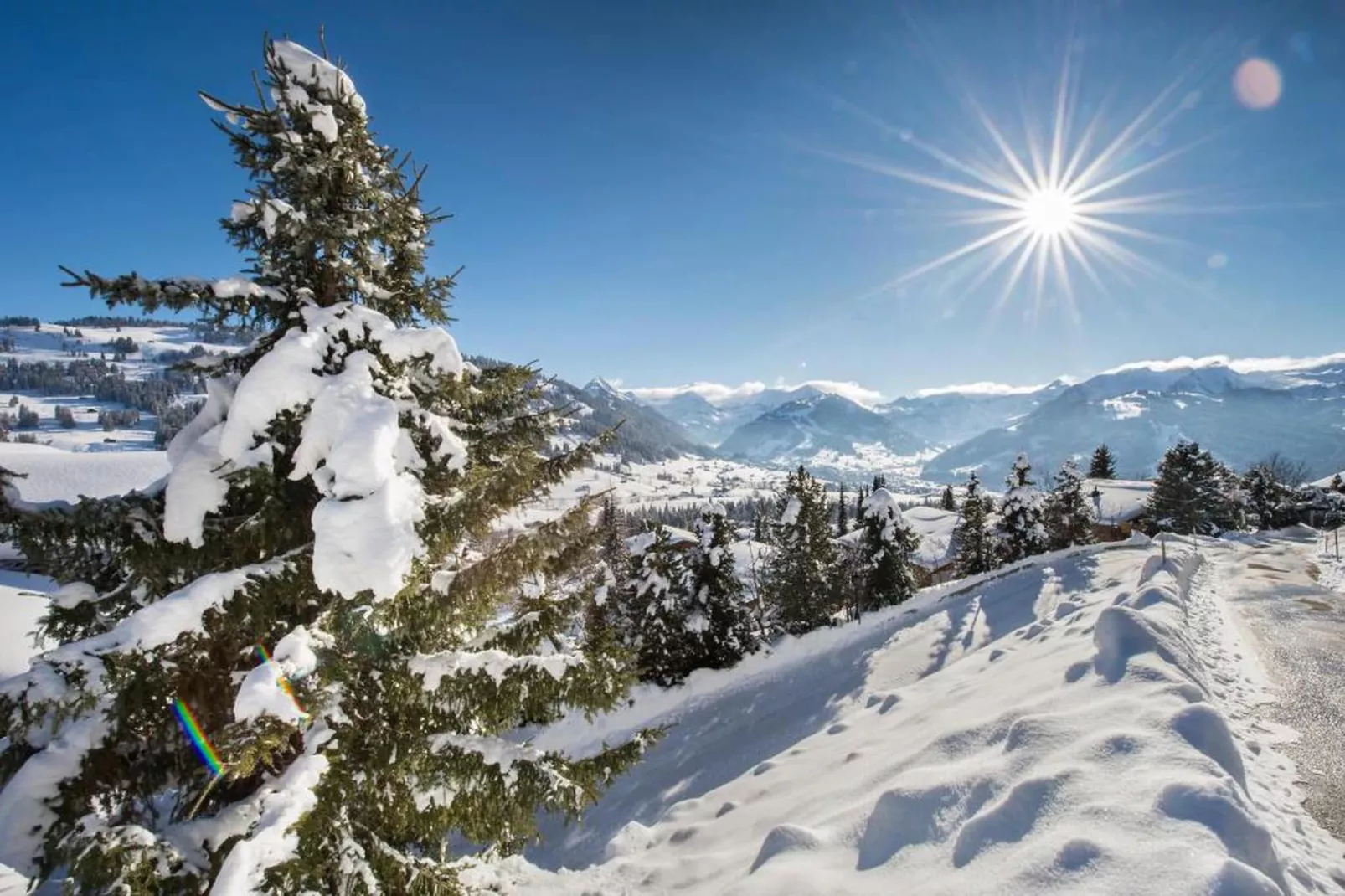 ALP SUNRISE-Area within 20km in winter