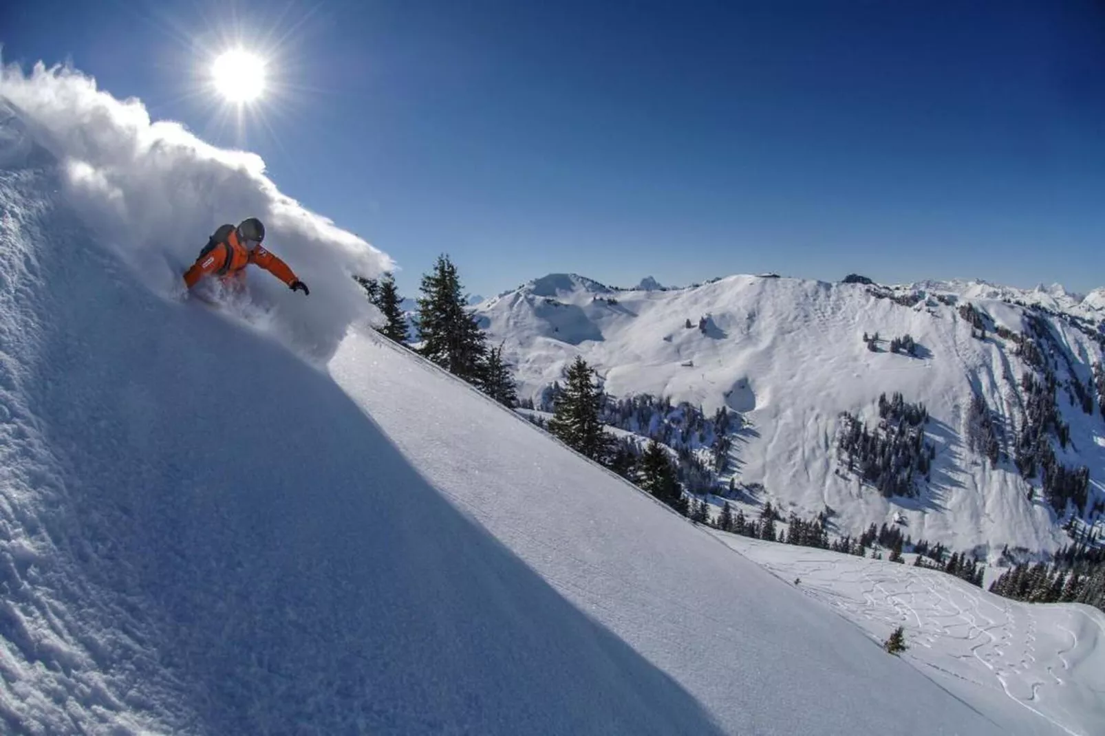 Gstaad Luxurious flat with terrace & stunning views-Garten Winter