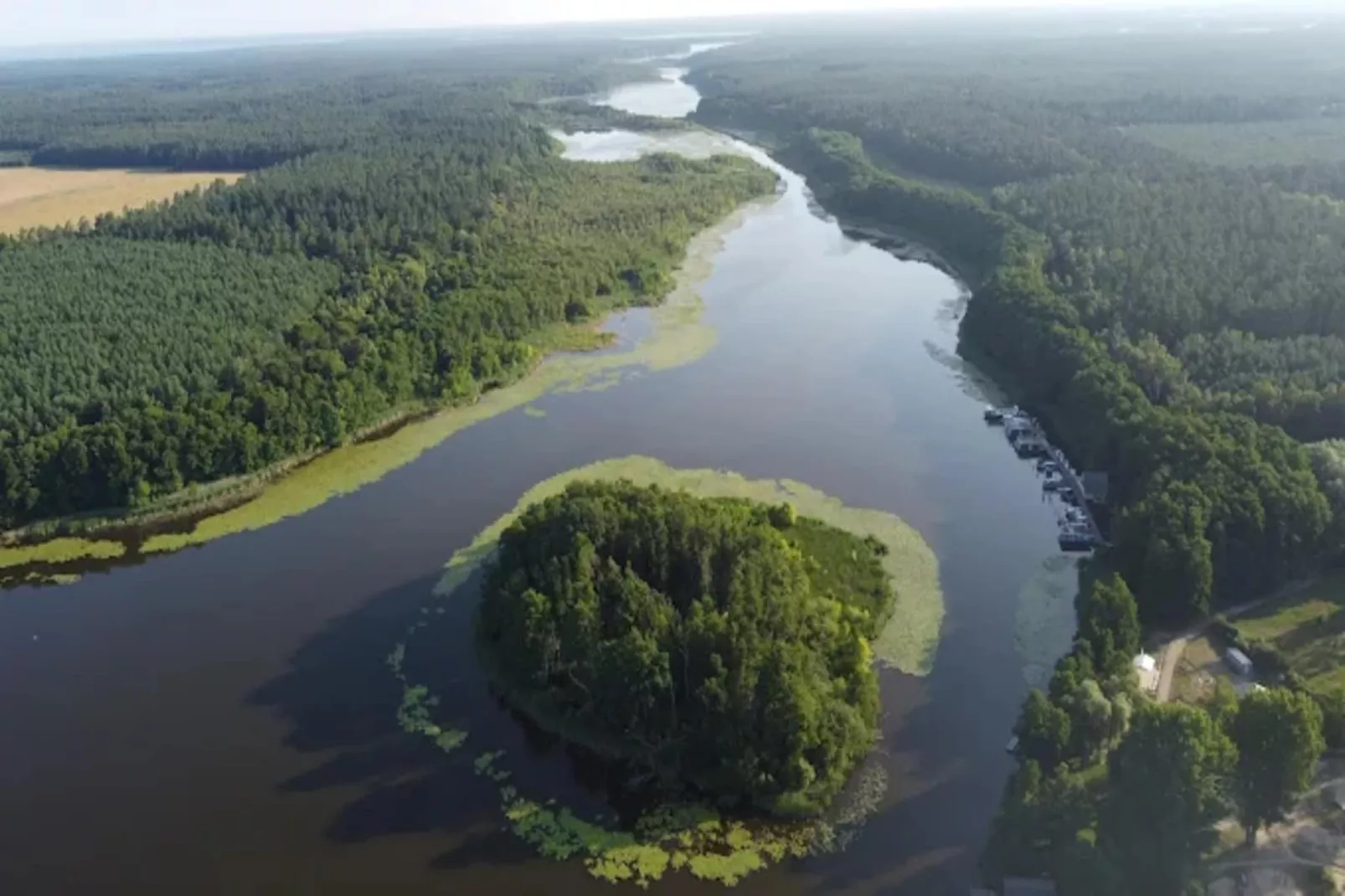 Kormoran 125-Areas within 1km in summer