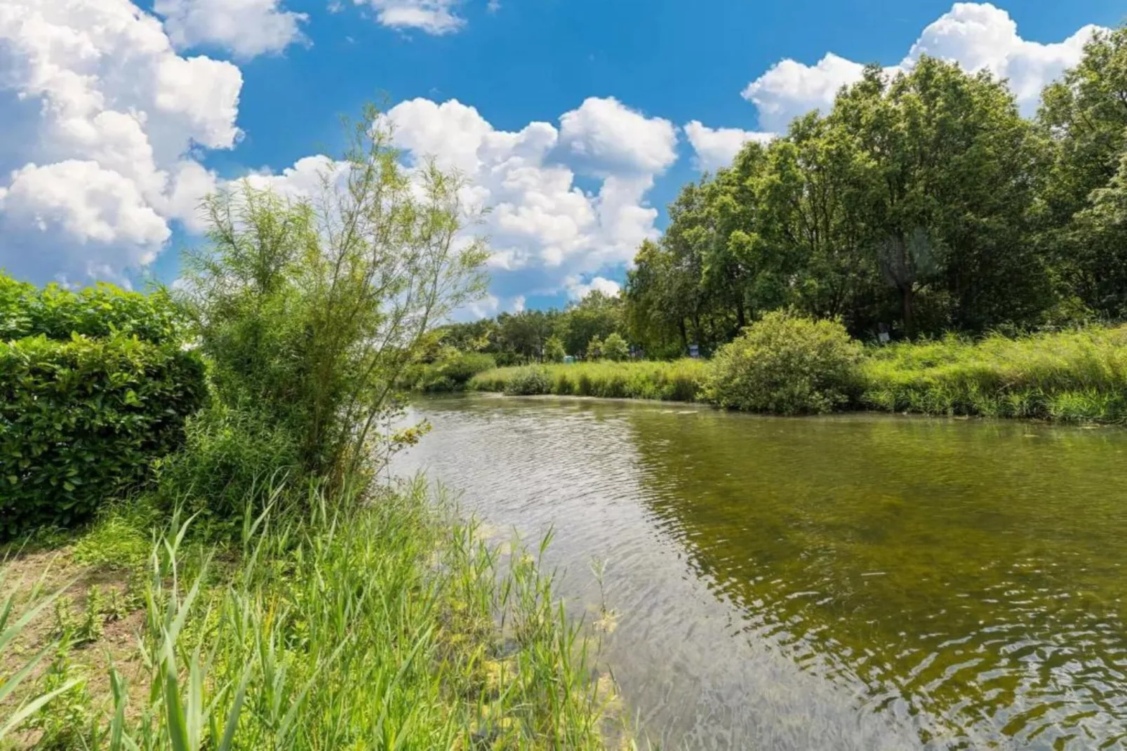 Standaard 207-Gebiete Sommer 20 km