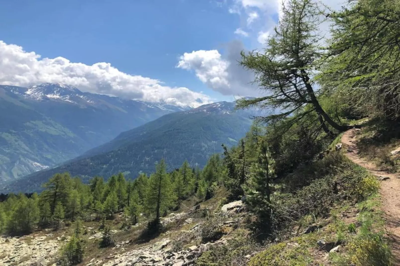 Mayens de l'Ours CZ 013 - MOUNTAIN apartment 8 per-Areas within 5km in summer