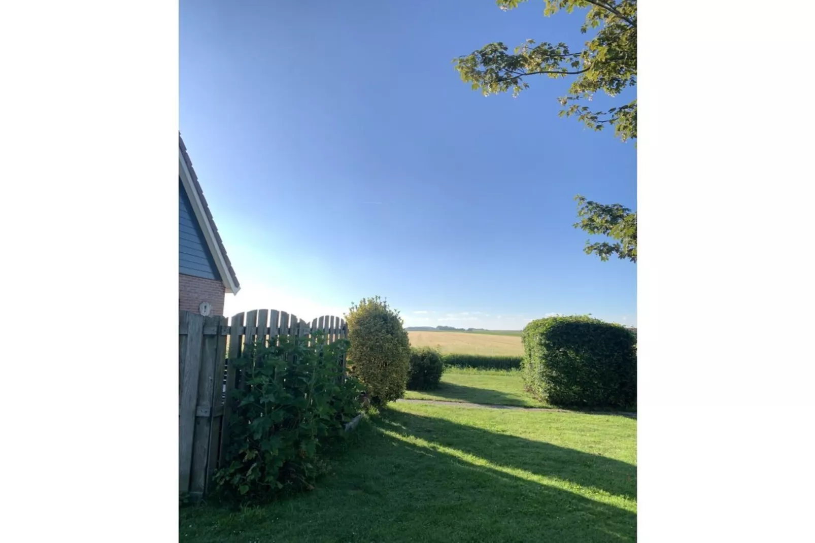 495316-Garten Sommer