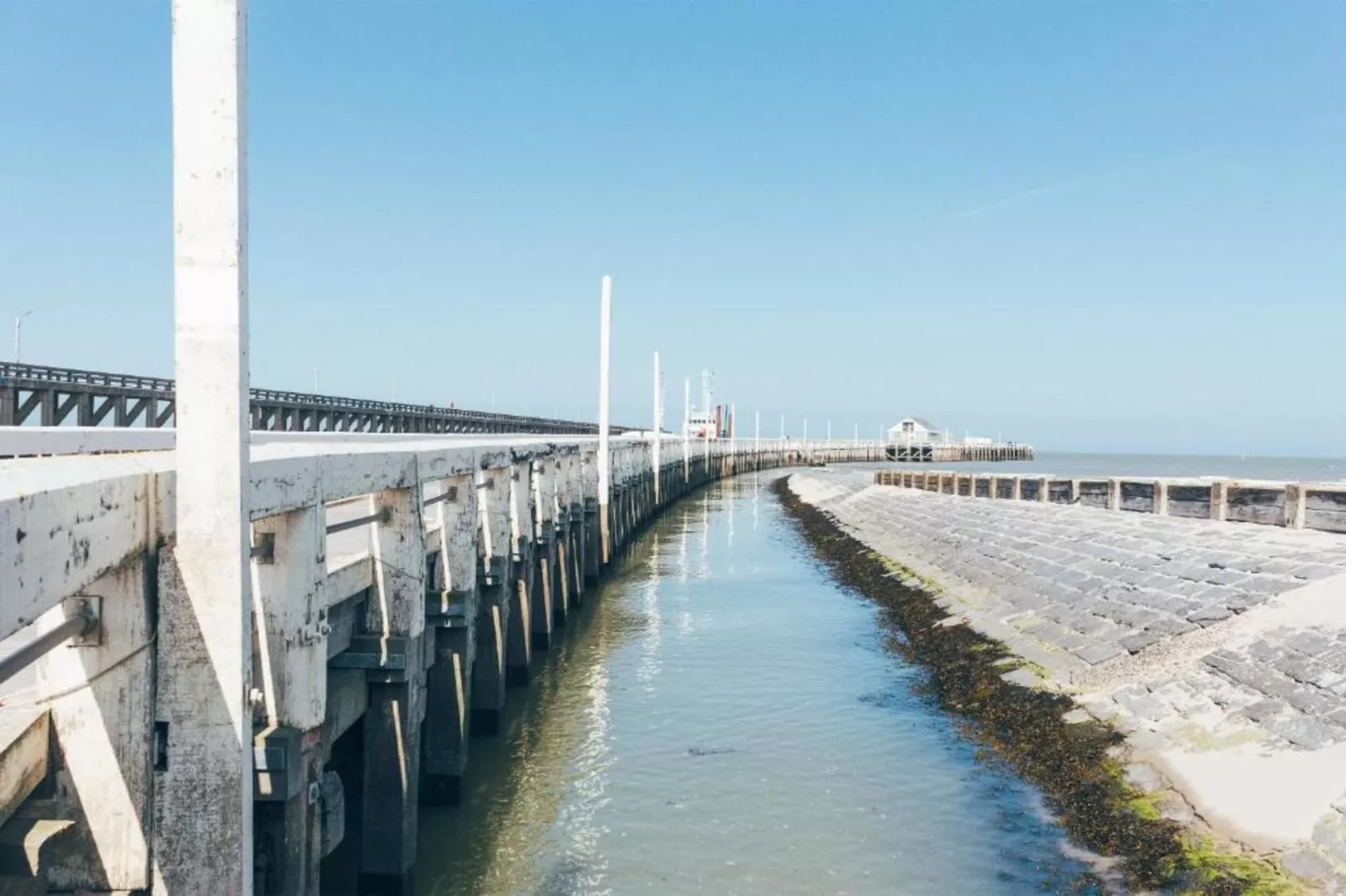 SEASIGHT - 31-Gebiete Sommer 1 km