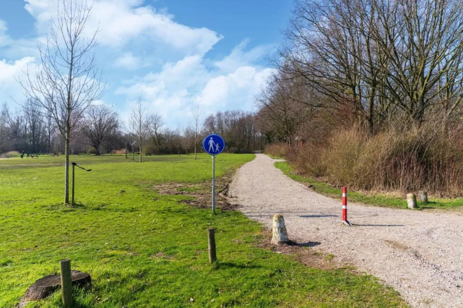 Standaard 231-Areas within 20km in summer
