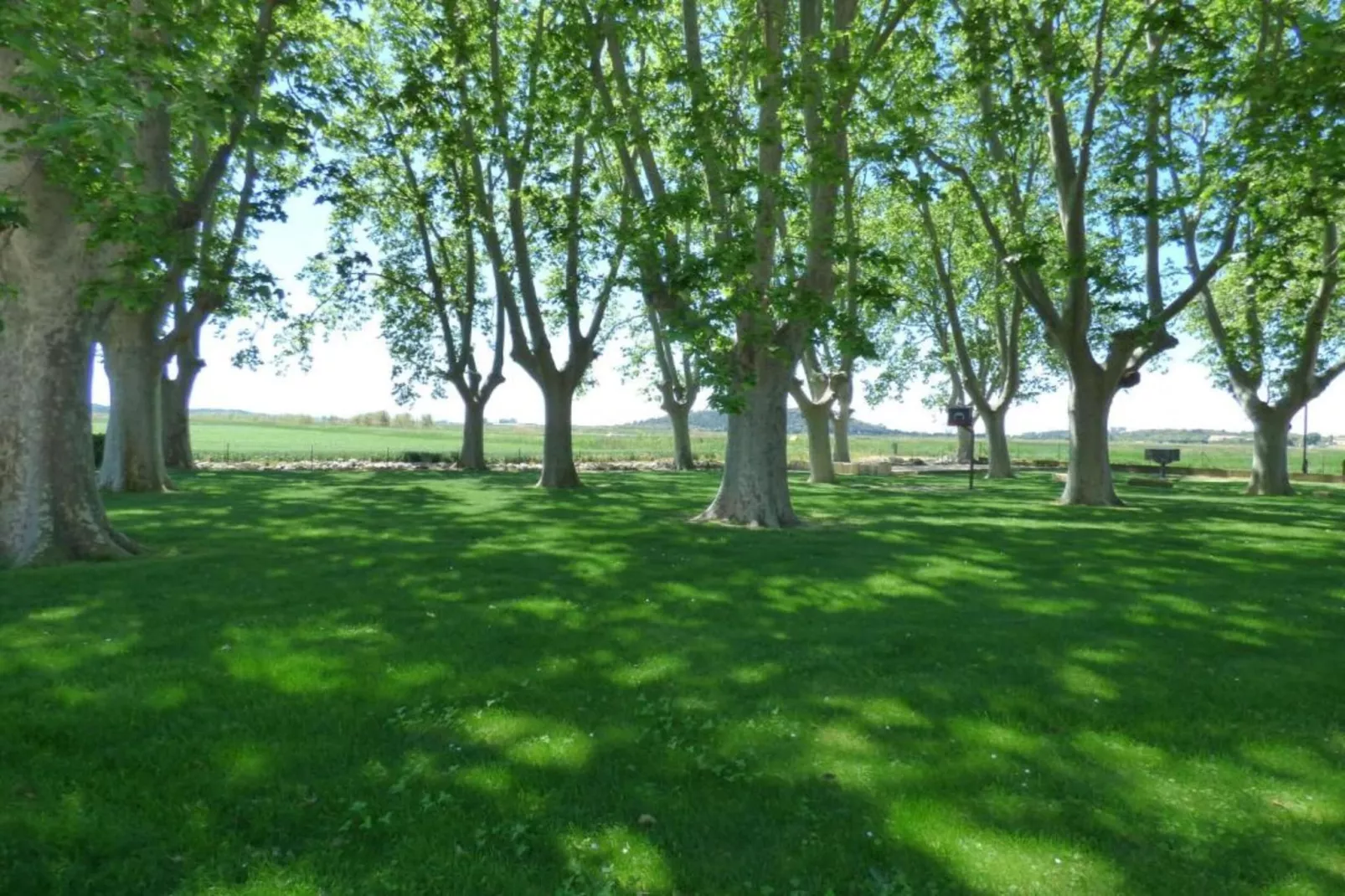 Arcades N°48 - ST3-Areas within 20km in summer