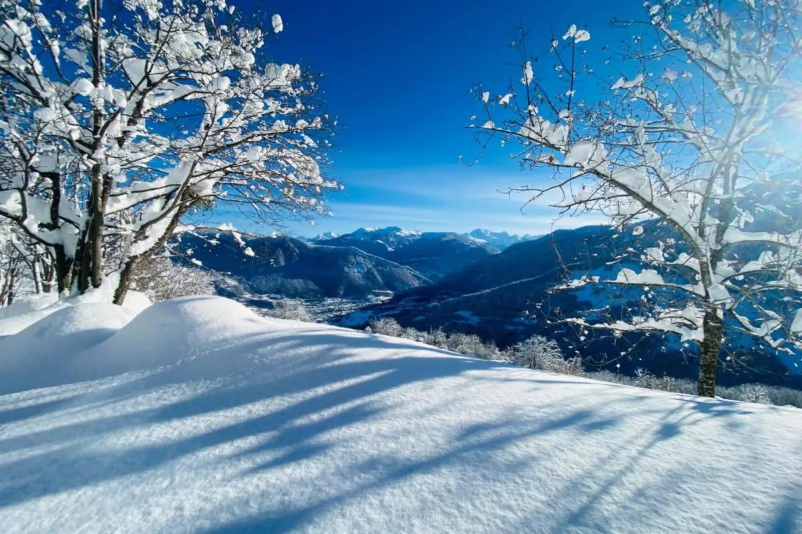 T. DU MOREL A N°25 - 2P5-Area within 5km in winter