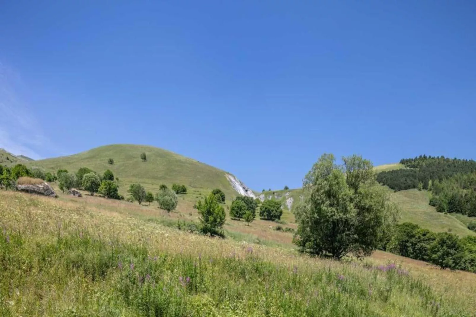 Les Bouquetins N°05 - 3P6-Areas within 20km in summer