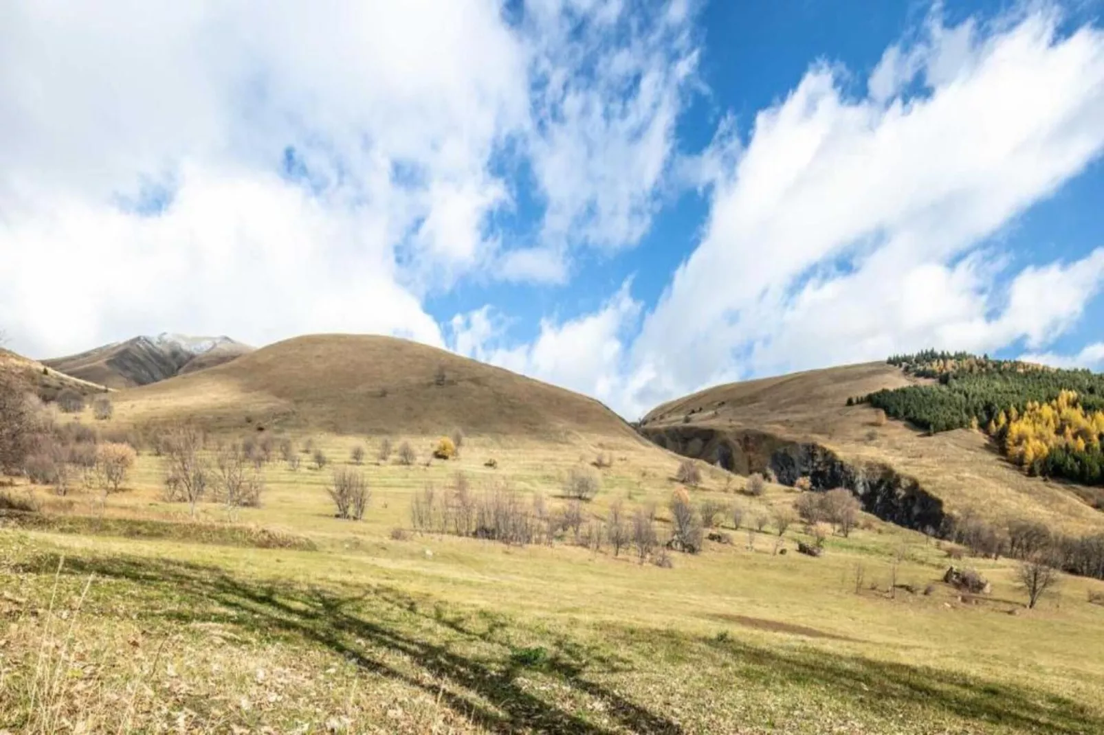 Les Marmottes N°42 - 3P6-Areas within 20km in summer