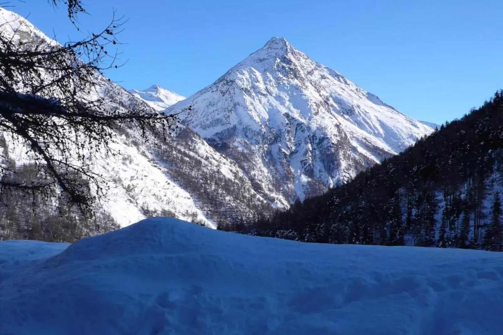 Haus Alpenstern Wohnung Distel-Area within 20km in winter
