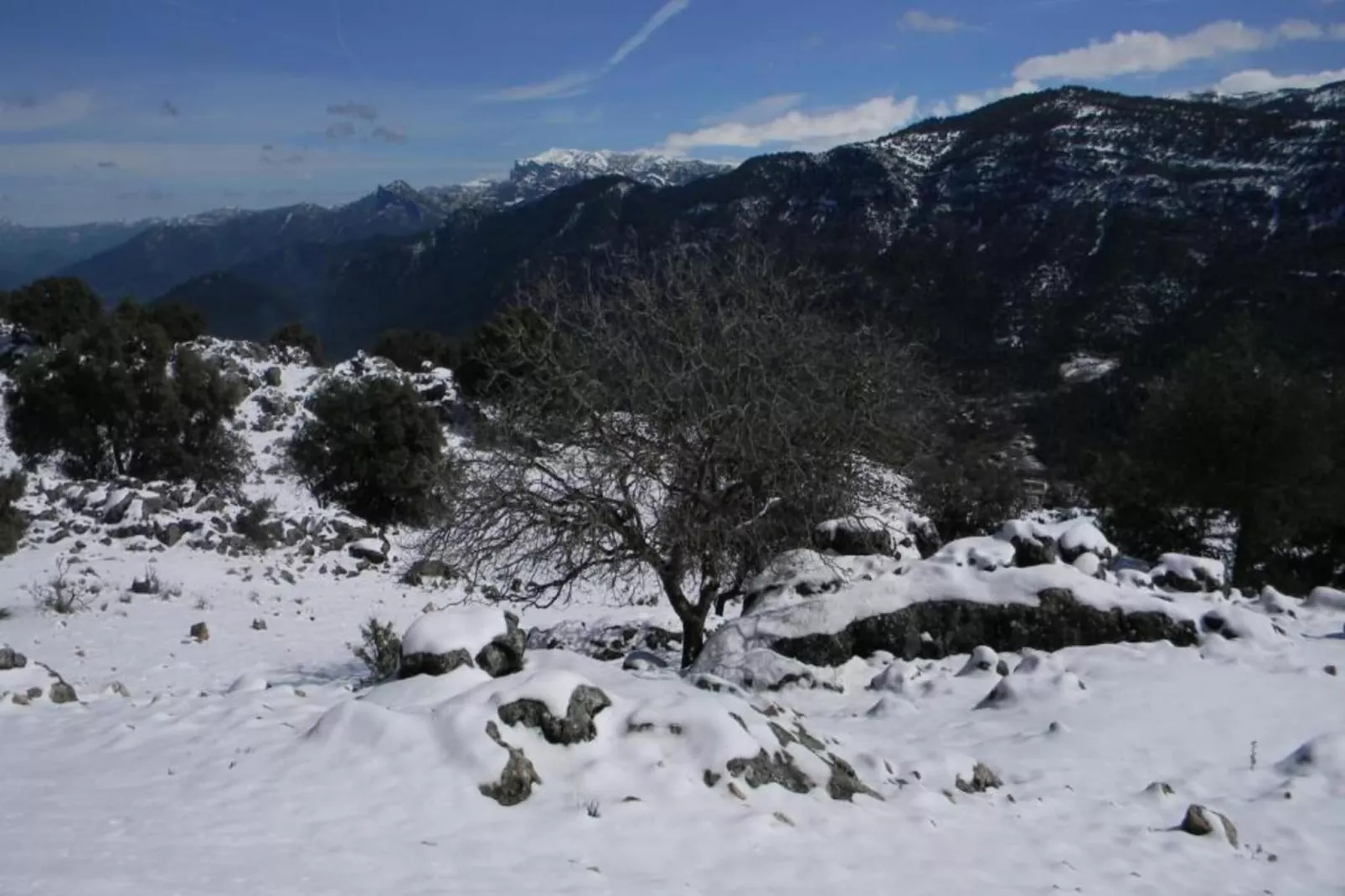 Cerro de la Cruz-Gebiet Winter 20 km