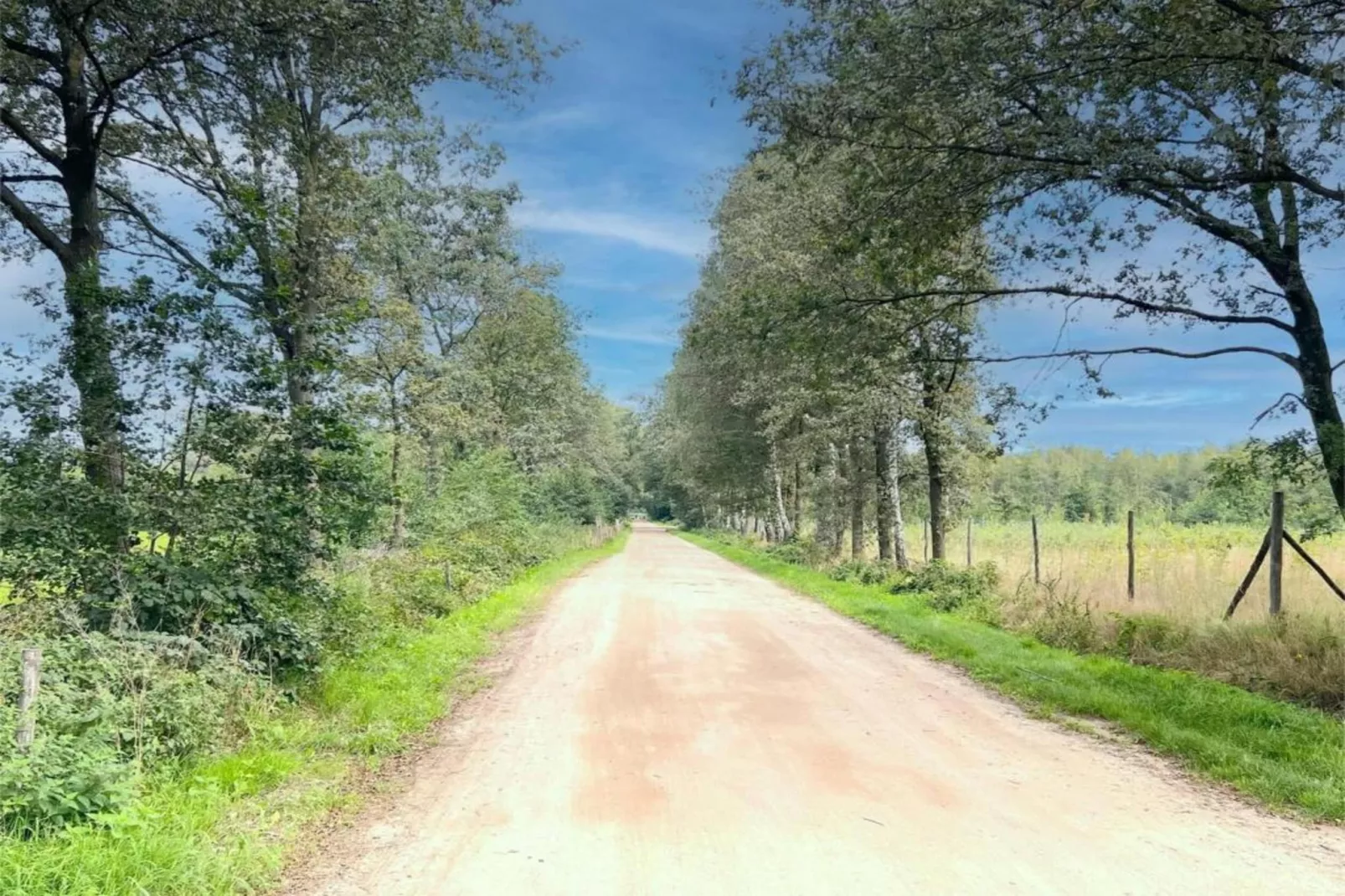 O’Hara-Areas within 20km in summer
