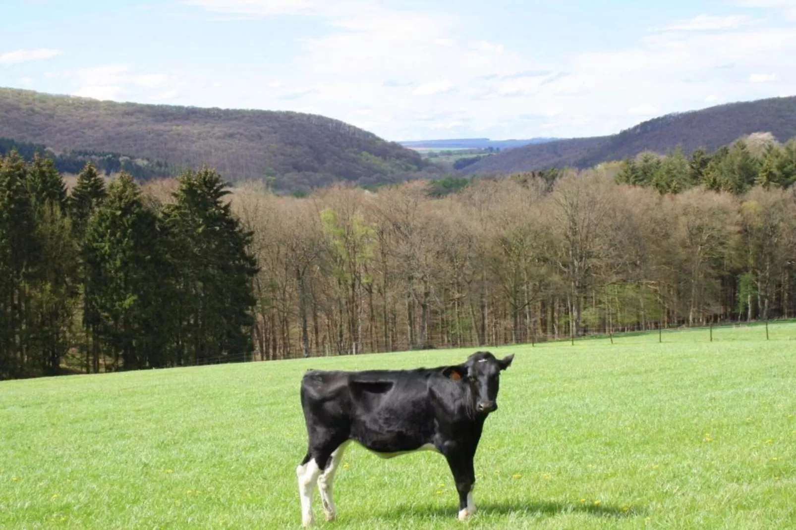 Chalet Renardeau-Areas within 5km in summer
