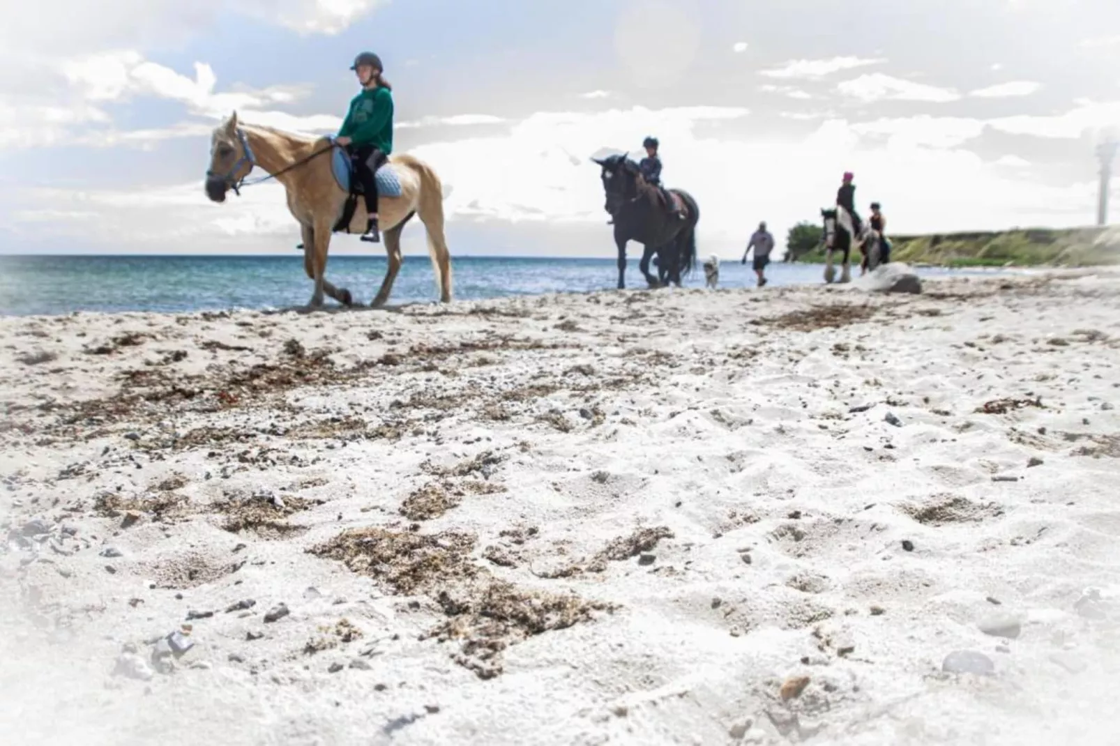 Hygge auf Fehmarn-Areas within 20km in summer