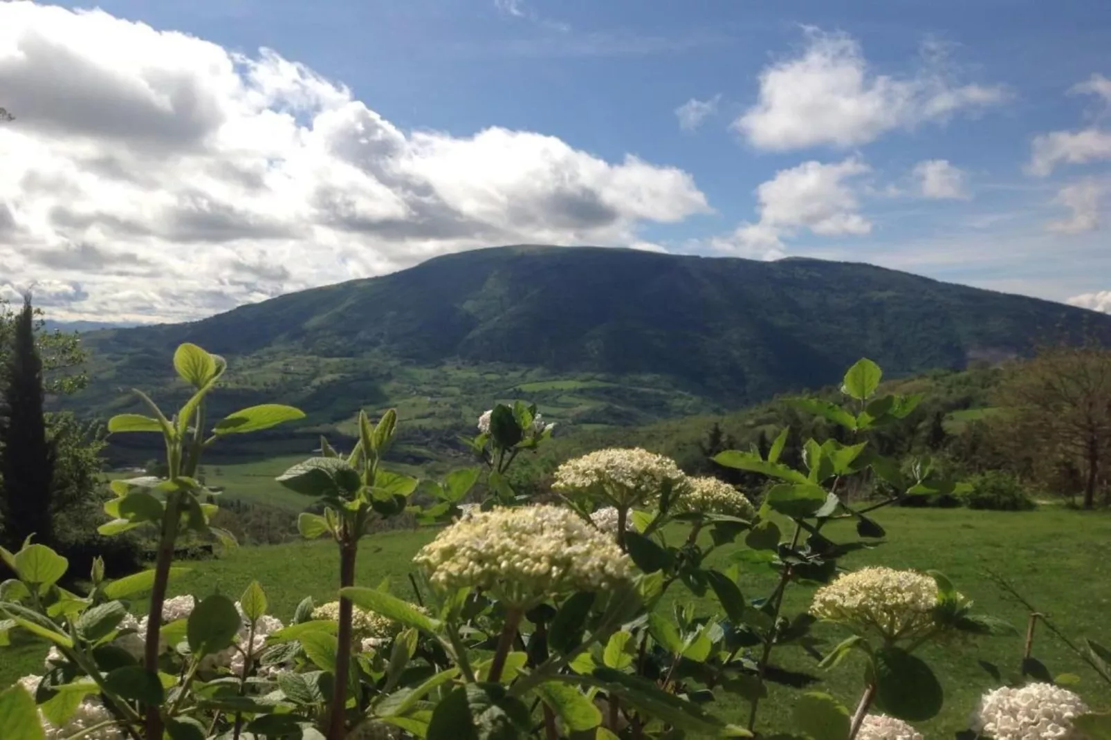 Villa Paradiso 25 persone-Areas within 20km in summer