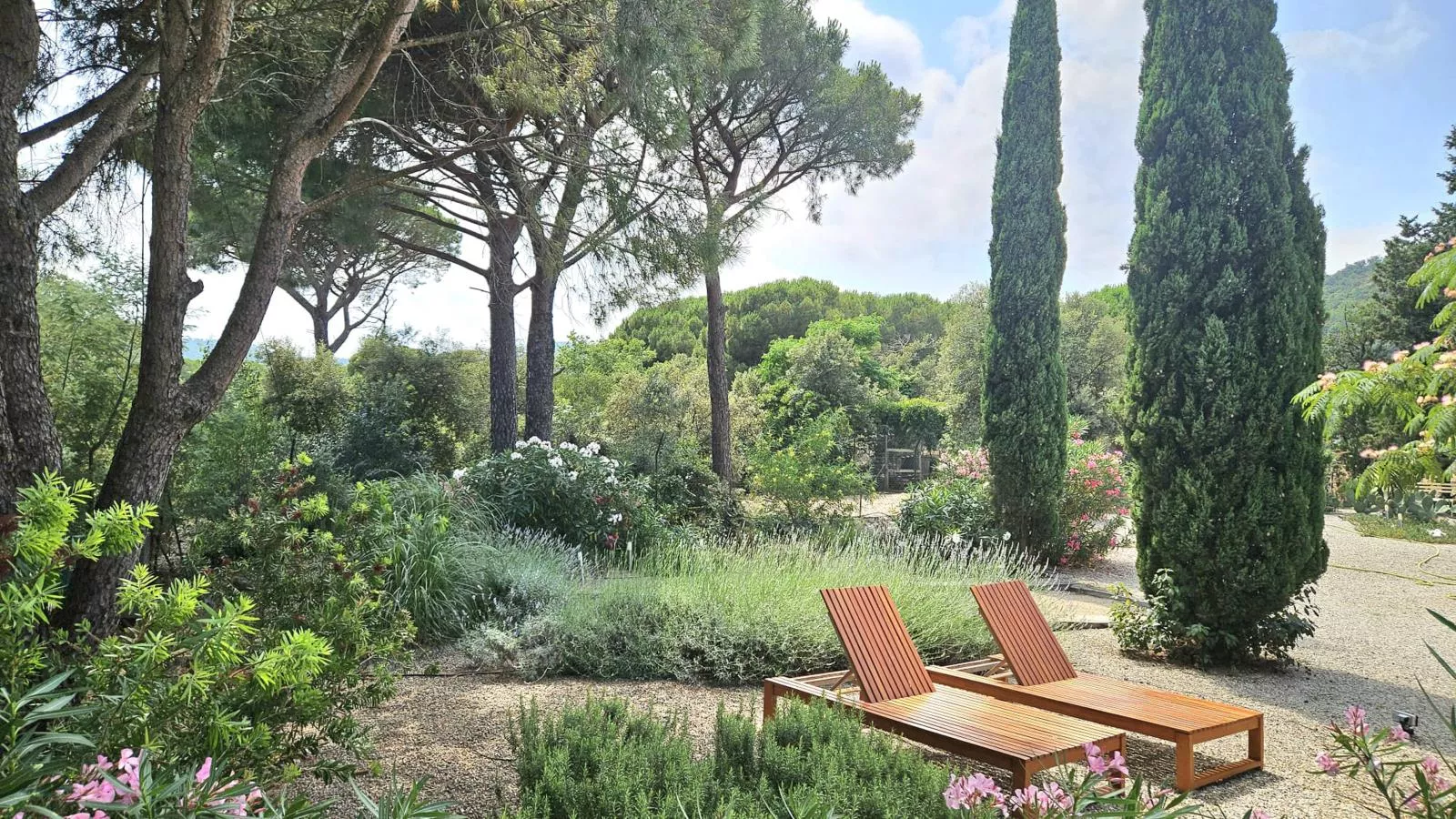 Lunes-Gardens in summer