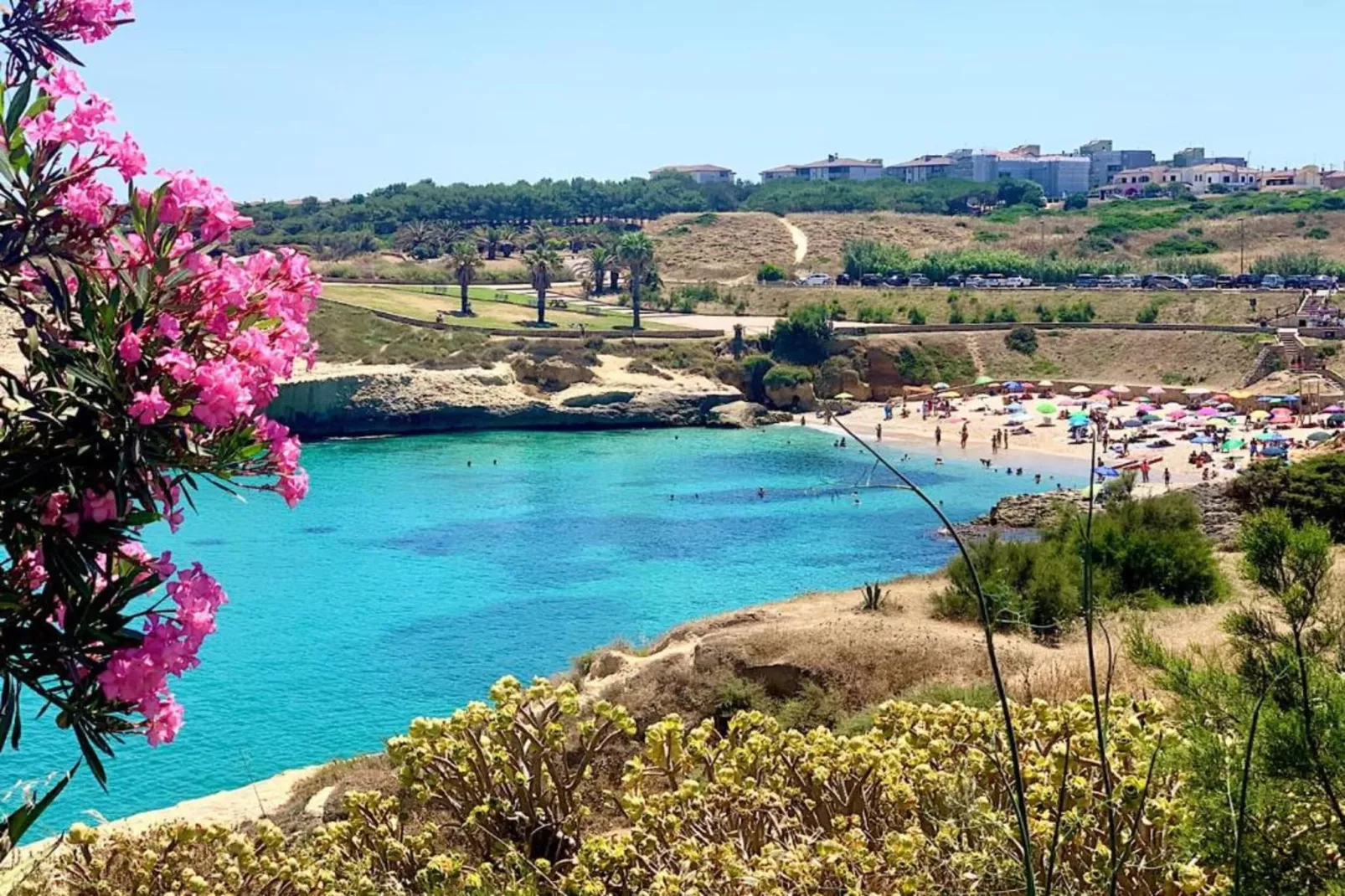 IL DELFINO-Areas within 20km in summer
