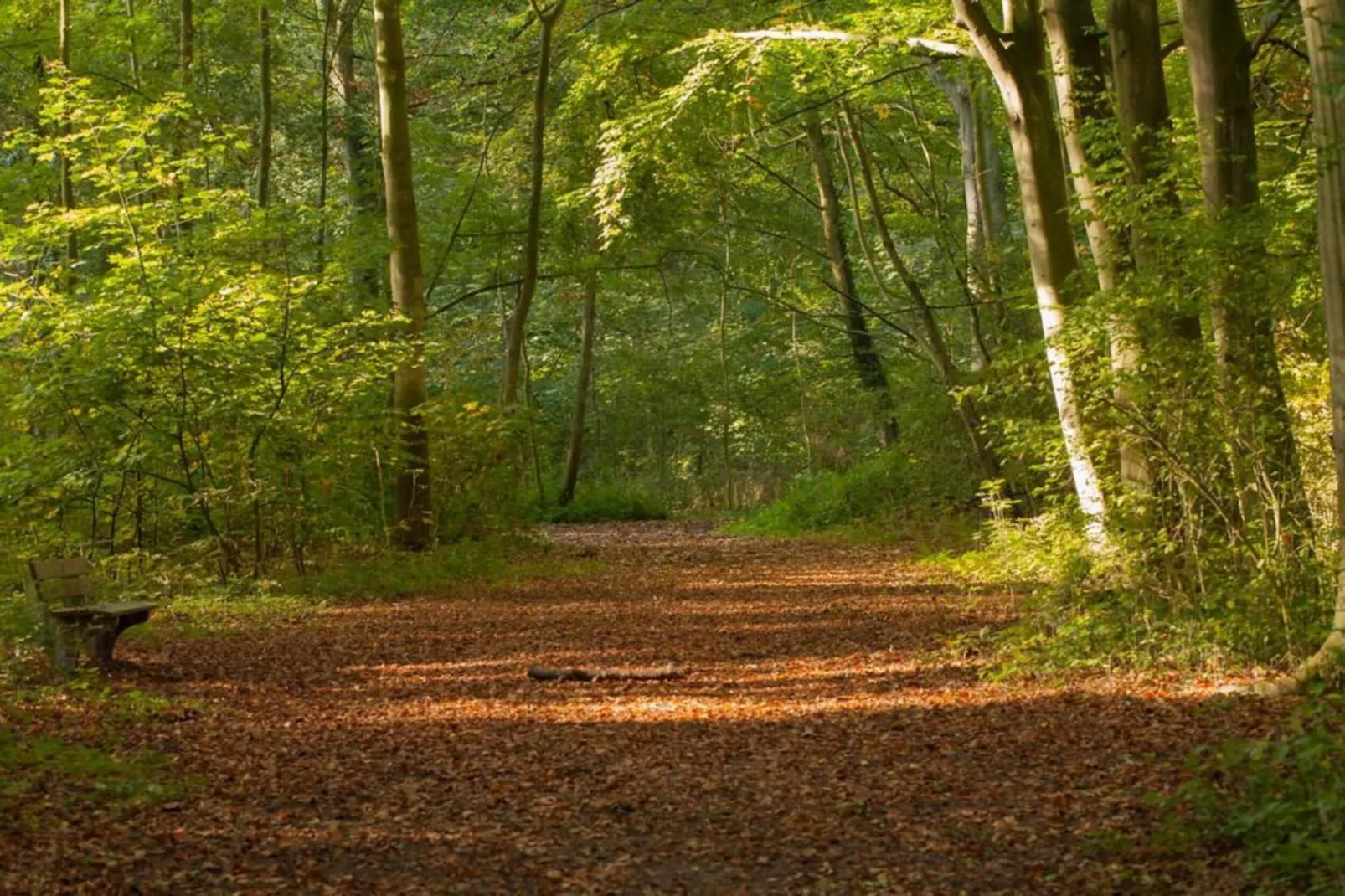 Delft 2A-Areas within 20km in summer