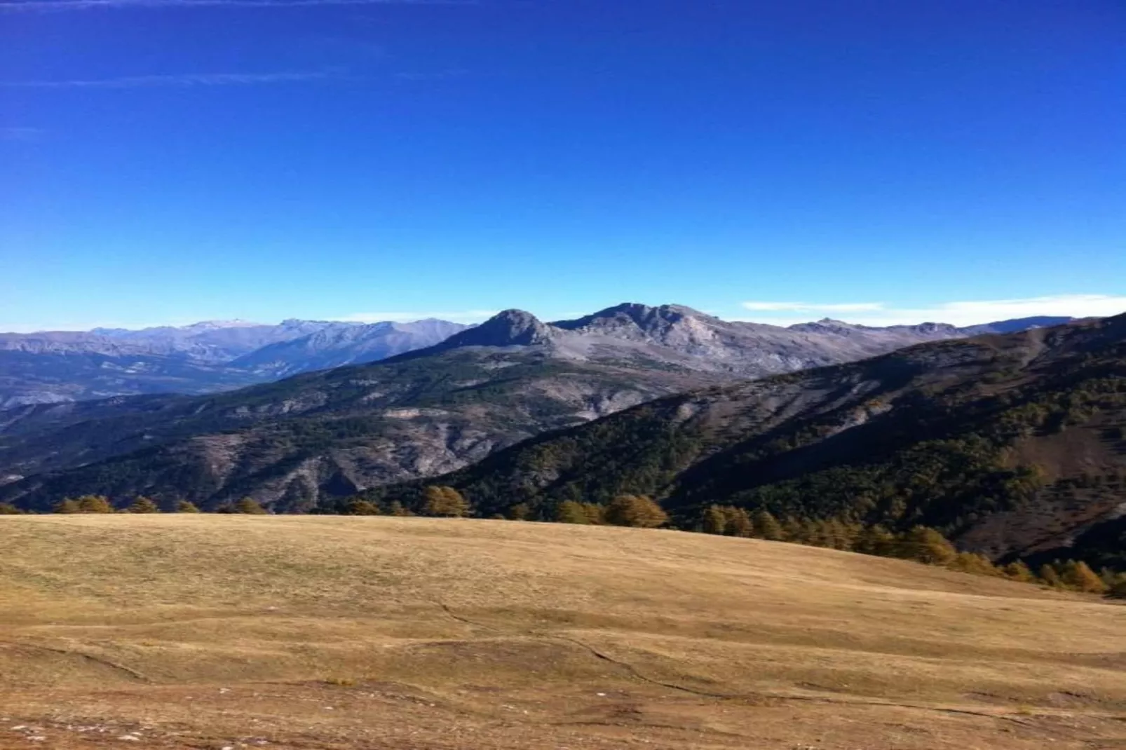 Les Marmottes N°14 - ST4-Areas within 5km in summer