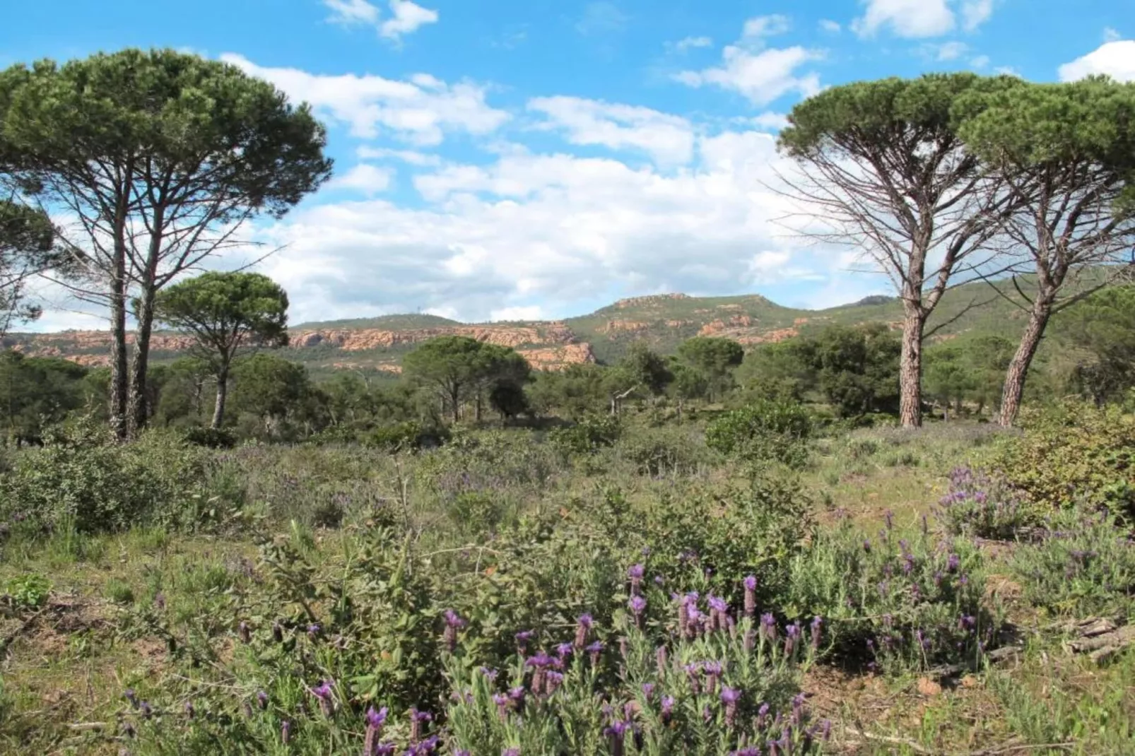 Villa Le Saint Tropez-Areas within 20km in summer