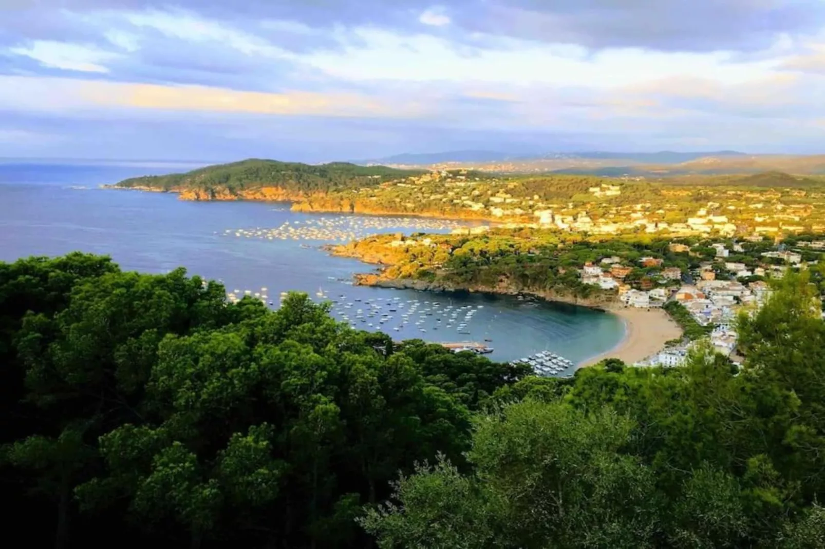 RosaMar - Areas within 20km in summer