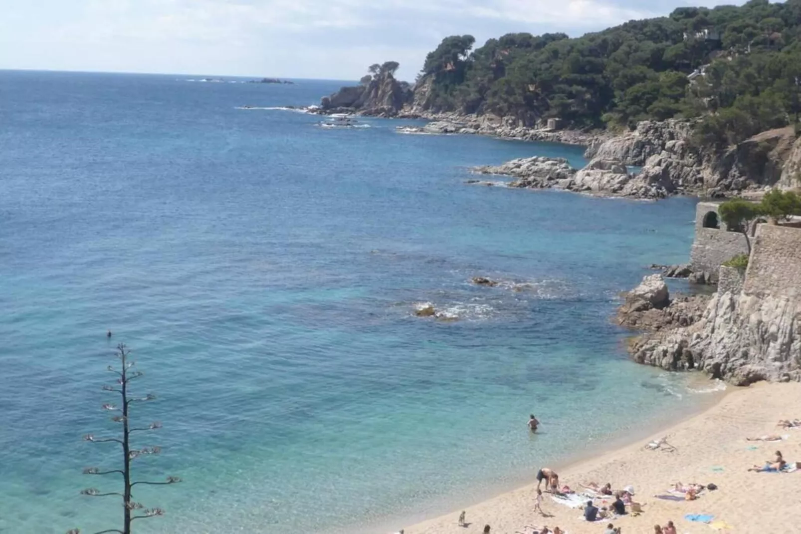 Carvajal-Areas within 20km in summer
