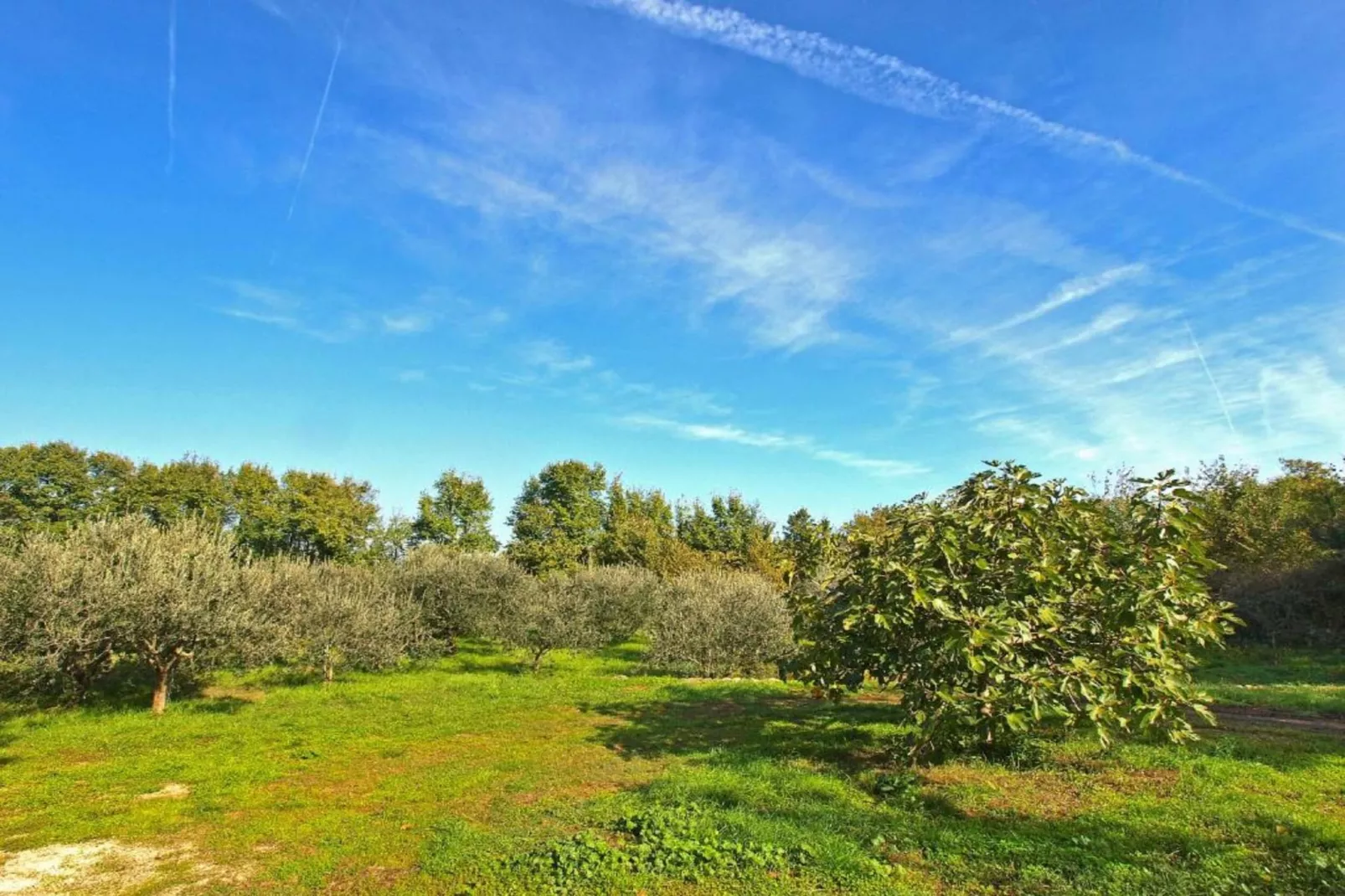 Marceta Apartment 1 - Pool and Big Garden-Areas within 5km in summer