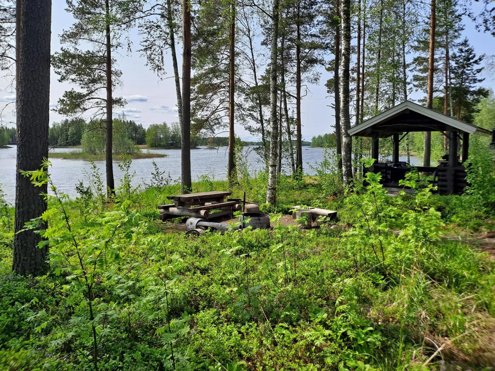 Haapaniemi, cjoe020-Inside