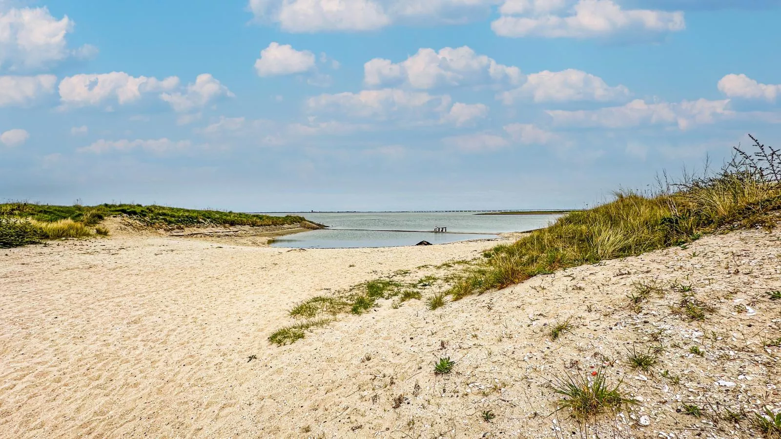 Sauna Zee-Areas within 1km in summer