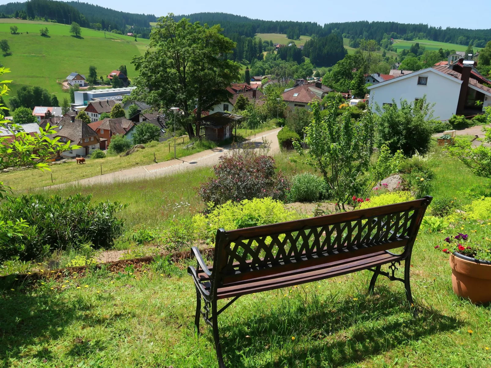 Blackforest Birdnest-Dehors