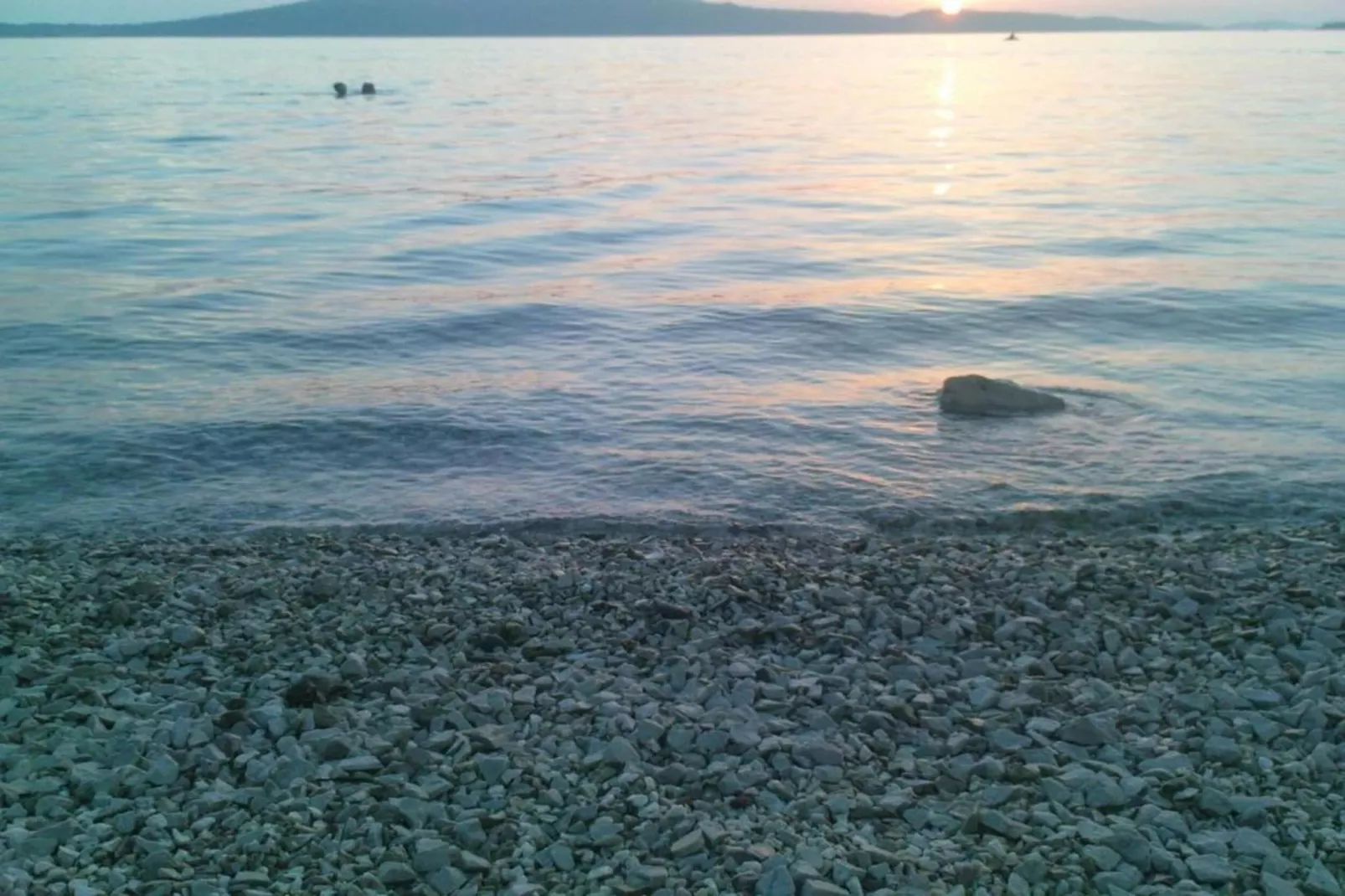 Apartments Gaj Brodarica - A9-Areas within 1km in summer