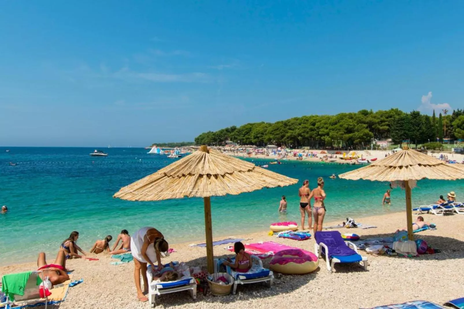 Apartments and Rooms Mikelin - Studio Jure 5-Areas within 5km in summer