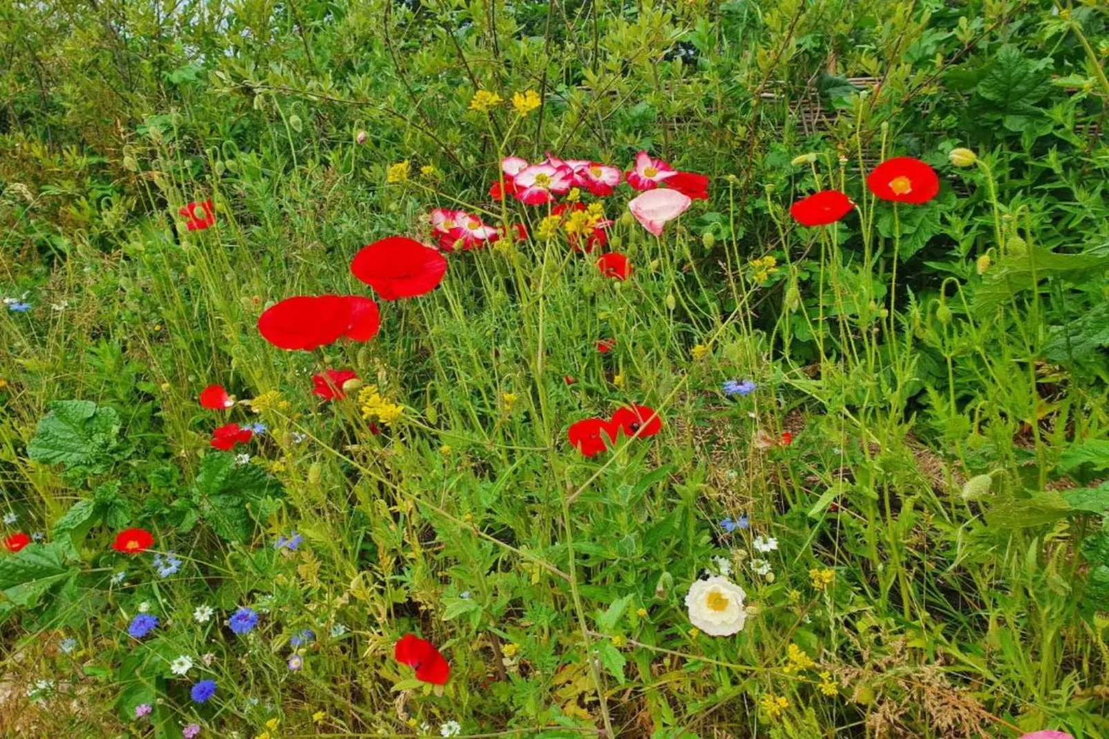 Little Dunley - Apple Lodge-Areas within 5km in summer