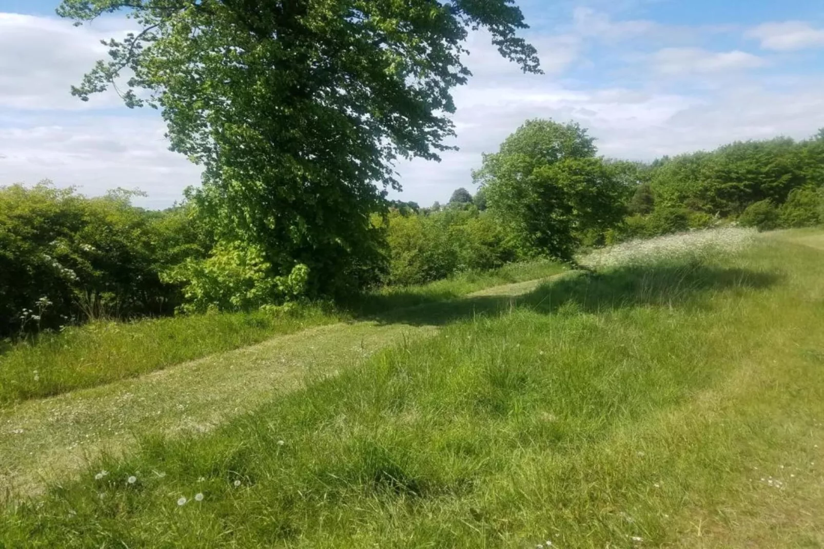 Longwool View-Gebiete Sommer 20 km
