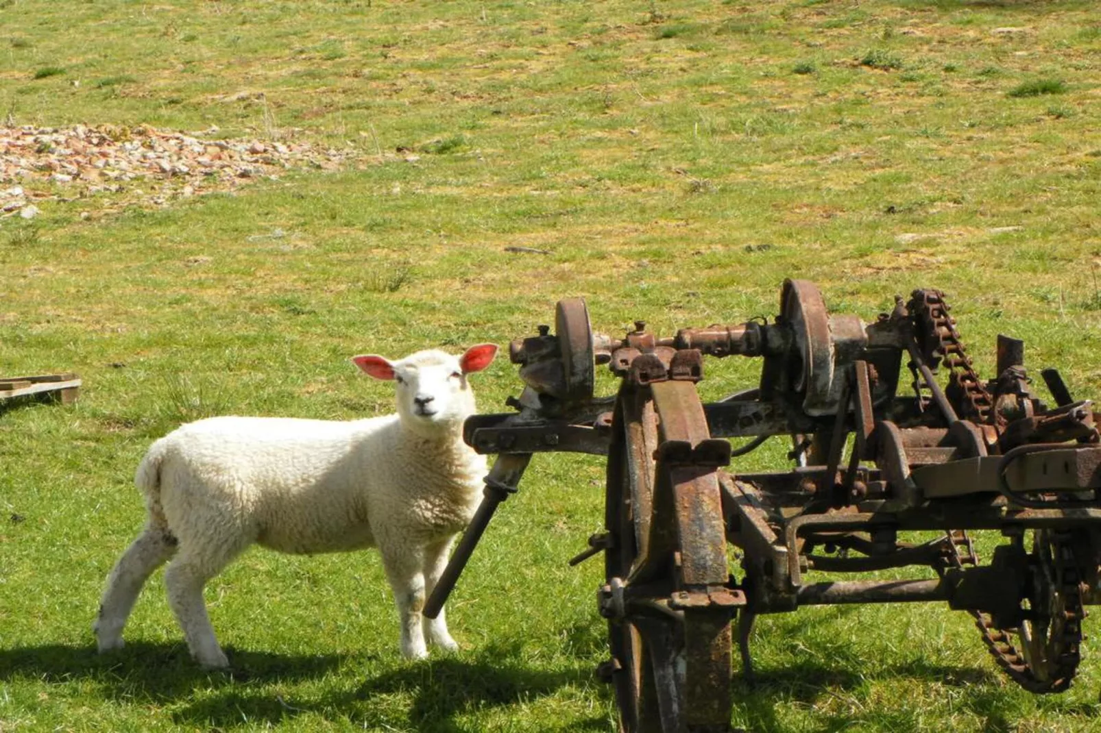 Sutton Hall Apt-Zones été à 20 km