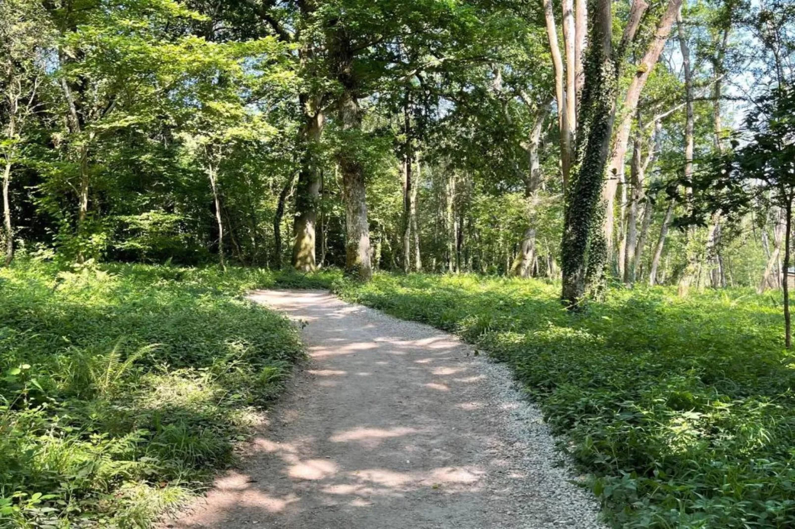 Ashdown Luxury Dome-Zones été à 5 km