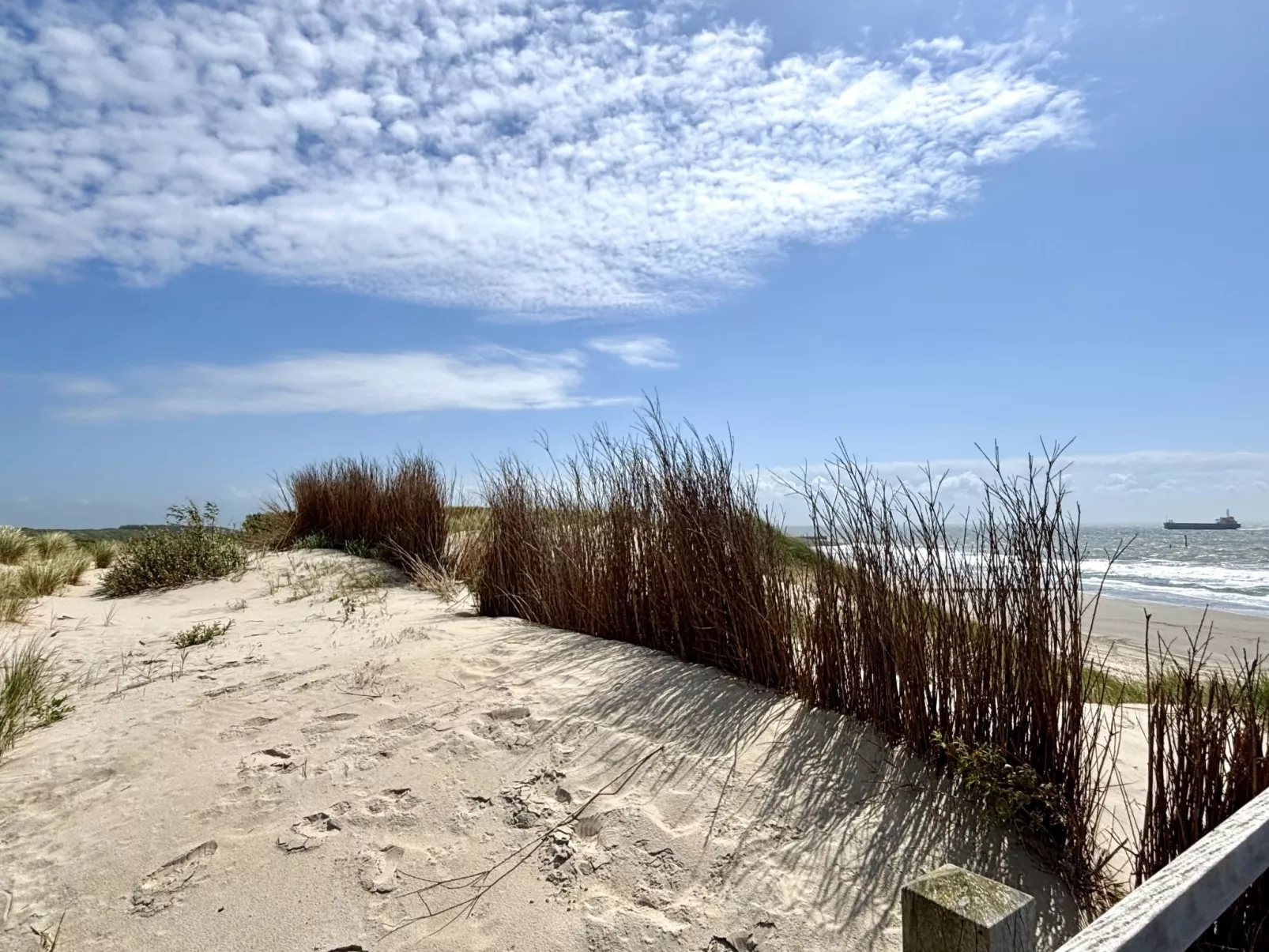 Beach House Westkapelle 105.4-Environnement