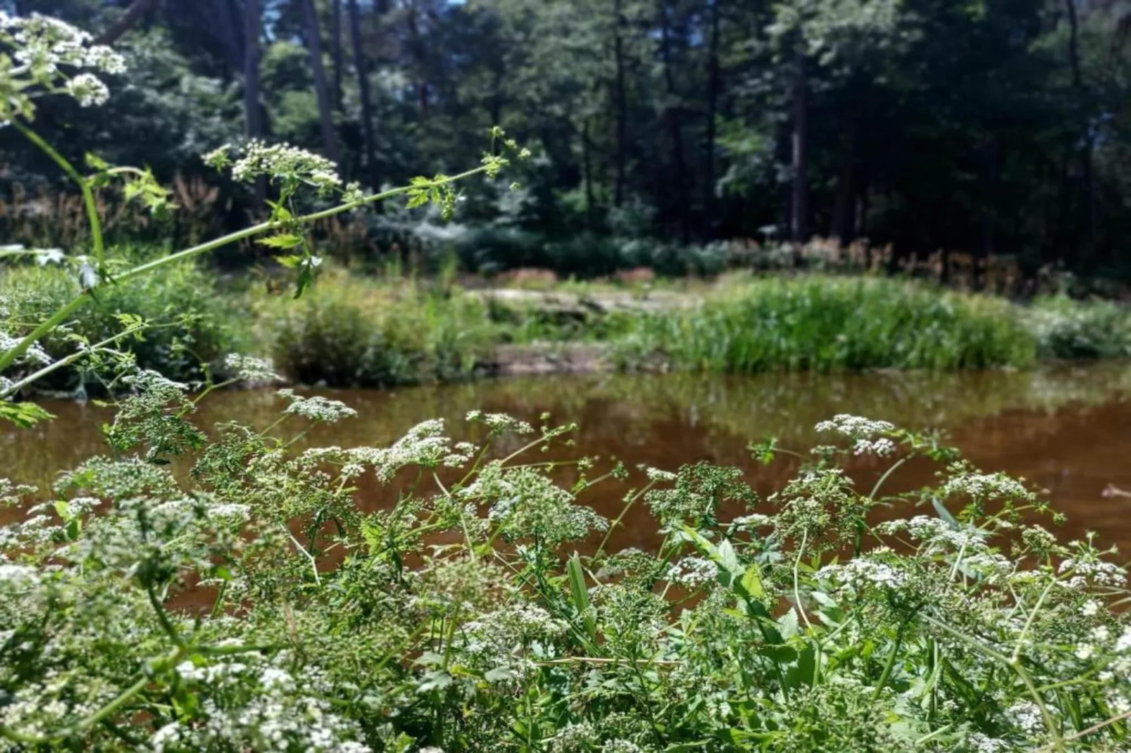 Chalet Egel-Areas within 20km in summer