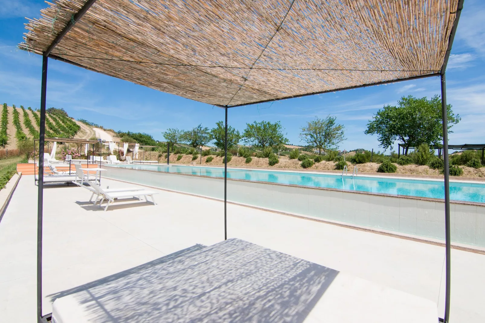 Liquirizia Quattro-Piscine