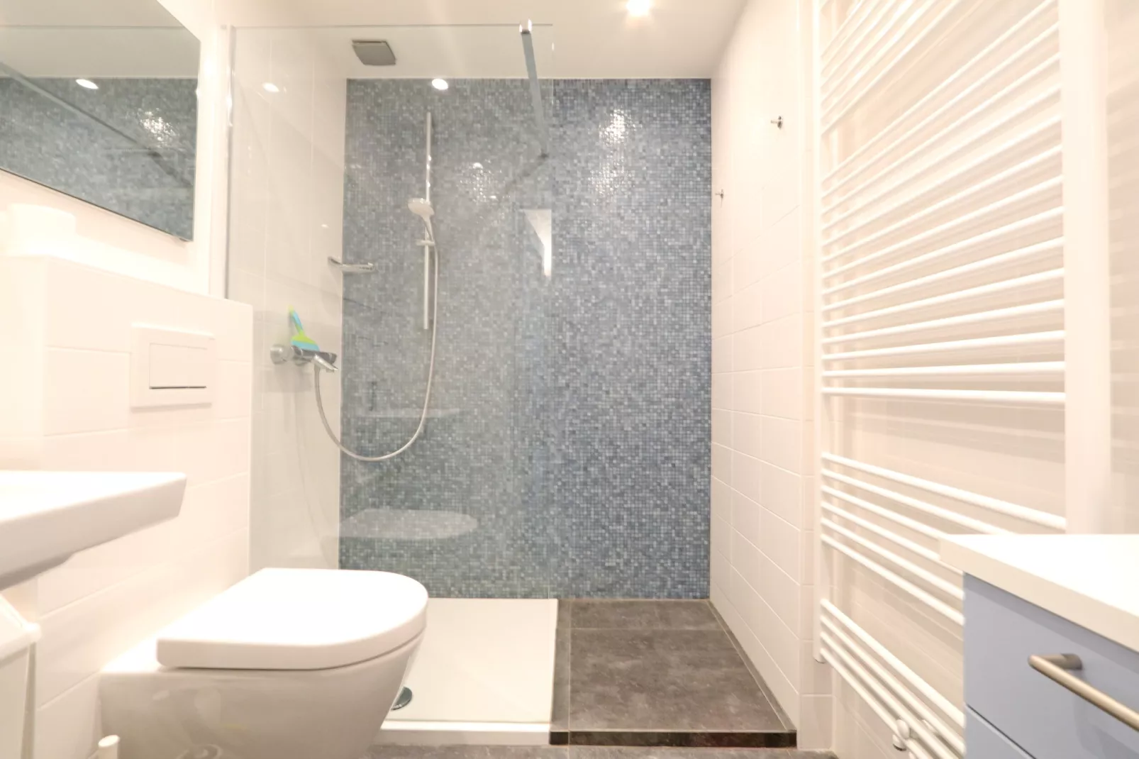 Sunshine 32  BOX-Salle de bain