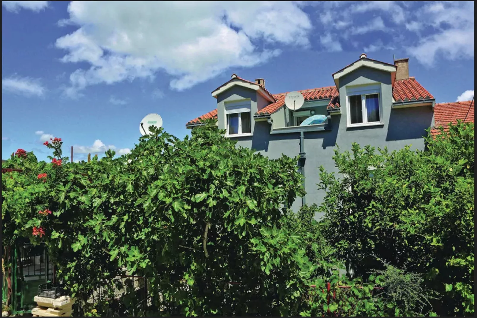 Apartments Halilović - Studio Apartment-View