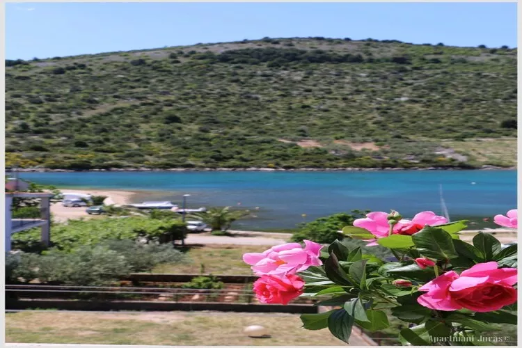 Apartments Juras - Studio Apartment with Sea View (Mia)-Vue