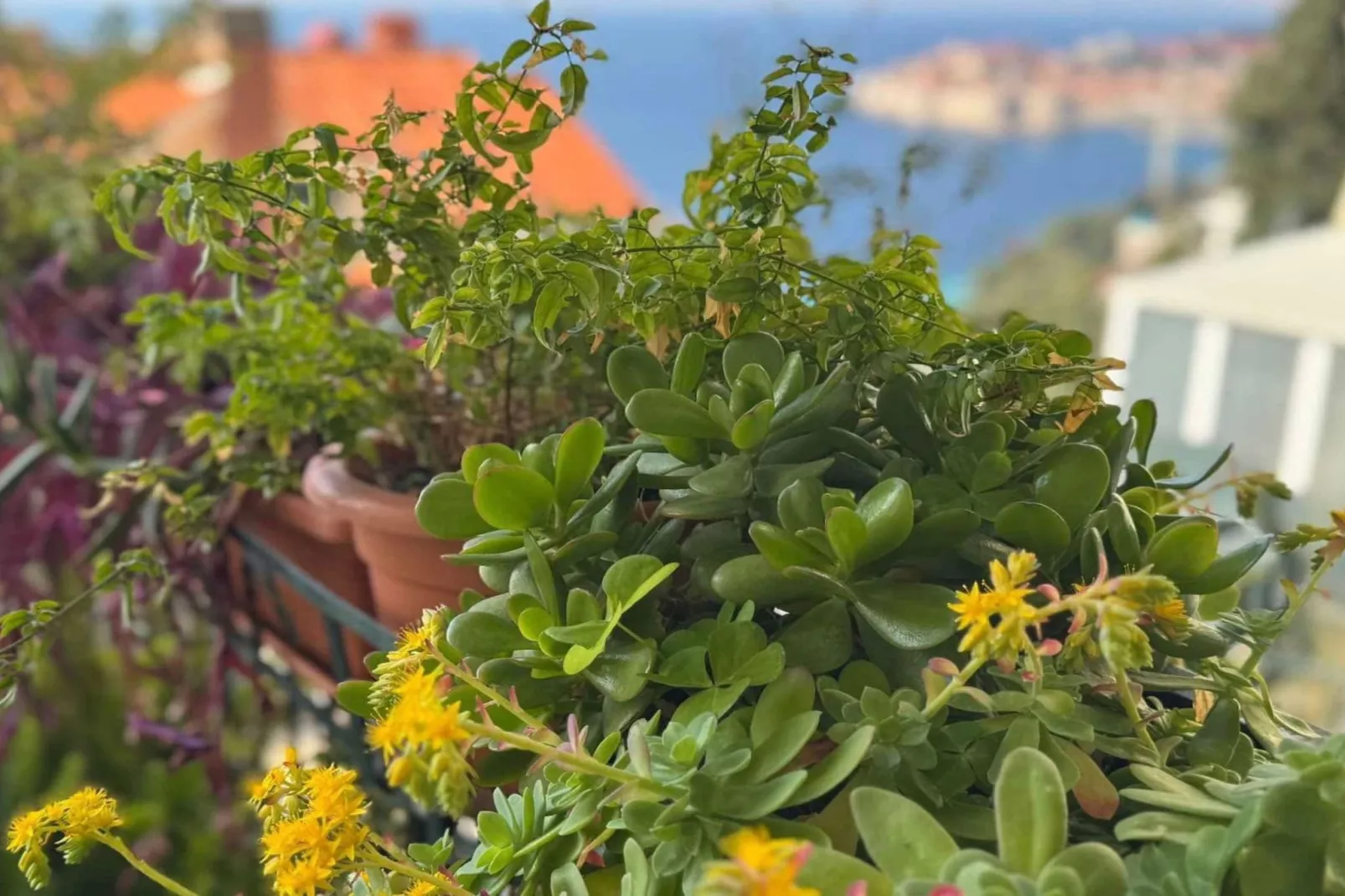 Charming Apartment with Terrace and Old Town View - One Bedroom Apartment with Terrace-Outdoor
