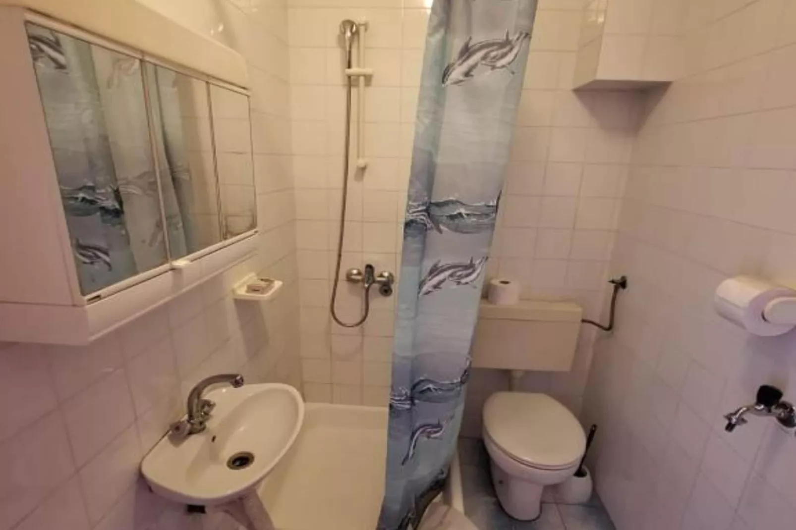 Apartments Villa Šesto - Superior One Bedroom Apartment with Balcony(4)-Salle de bain