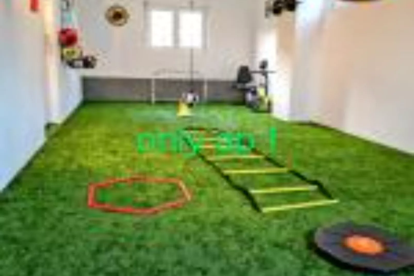 Apartments Kegalj - Apartment with Mountain View-Fitnessraum