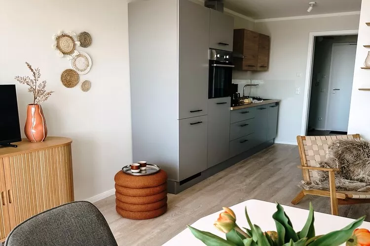 FeWo Hygge Havn-Kitchen